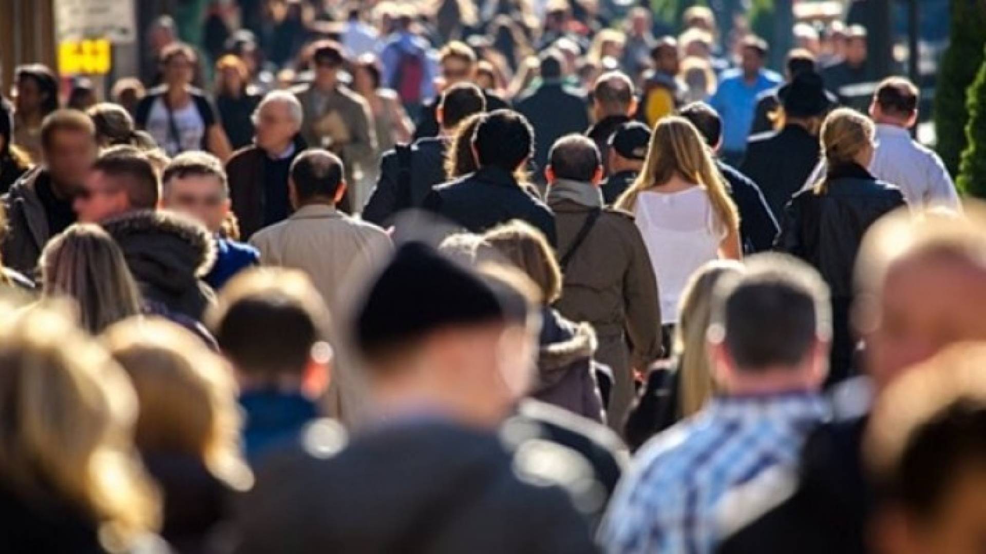 9,8 مليارات نسمة عدد سكان العالم بحلول 2050