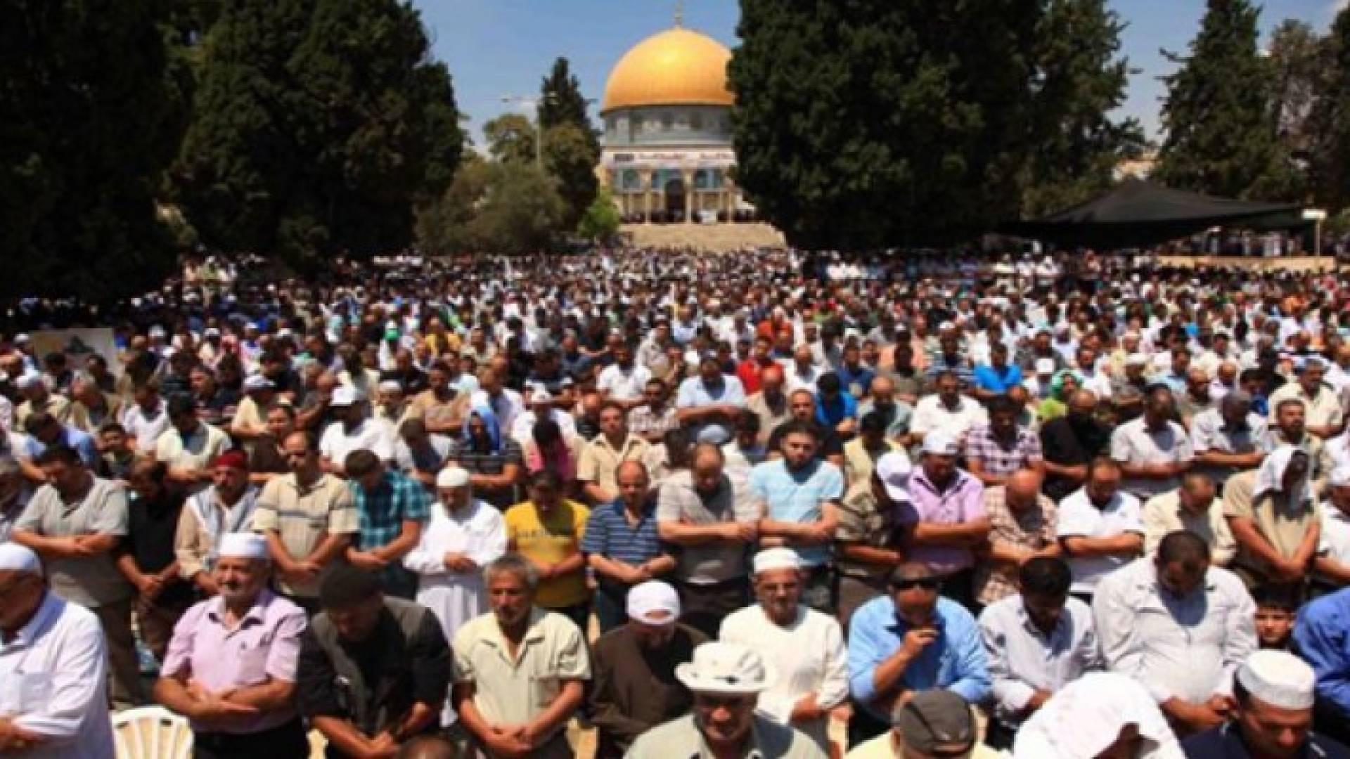 الصورة أرشيفية