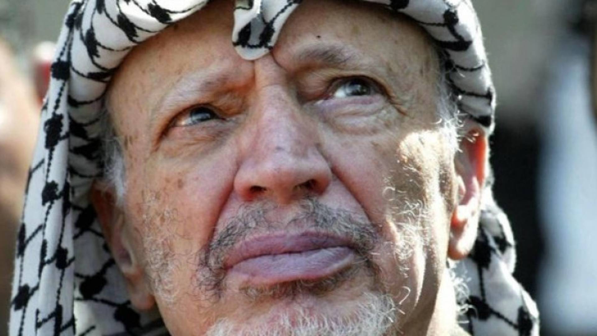 الزعيم الفلسطيني الراحل ياسر عرفات