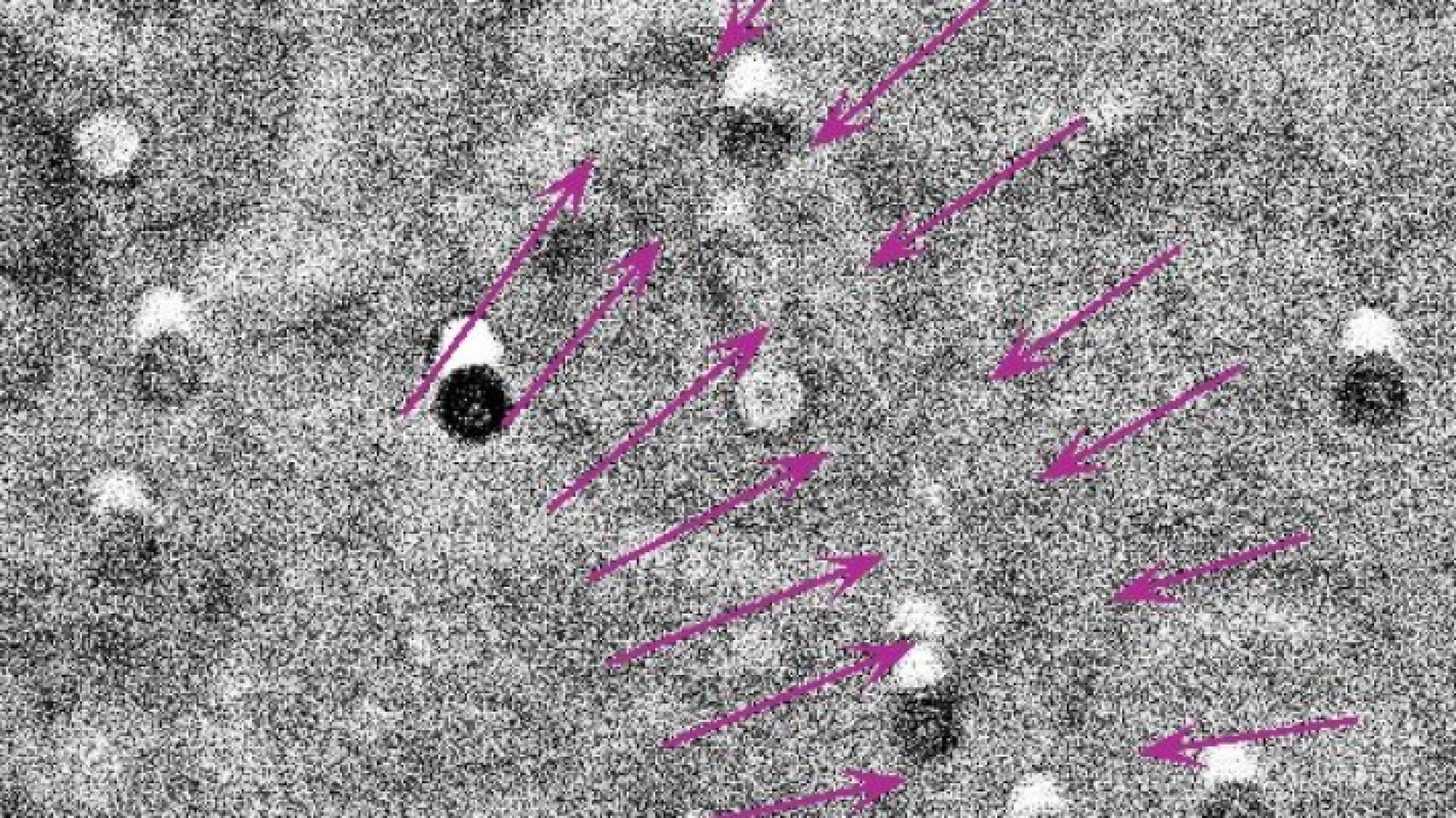 رؤية هلال شوال قبل قليل في العاصمة عمان