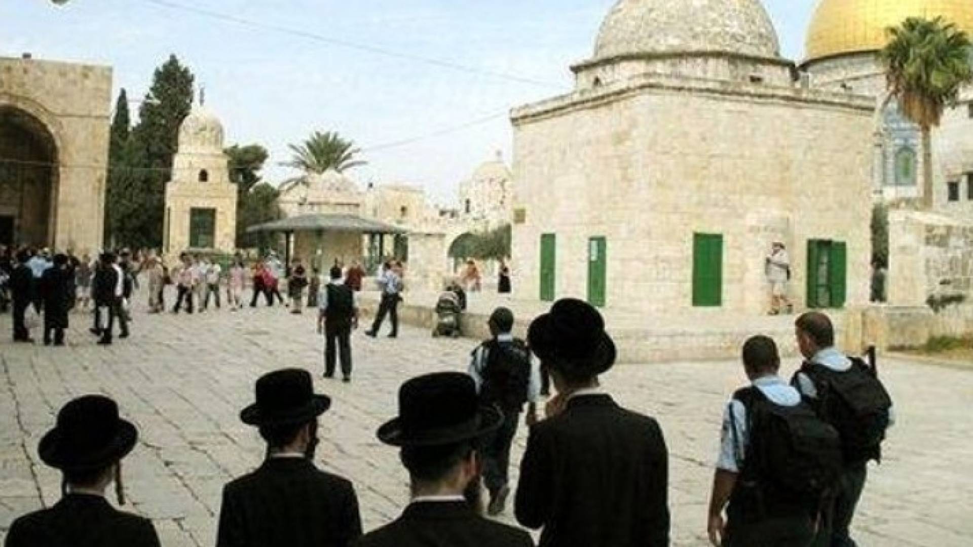 ارشيفية