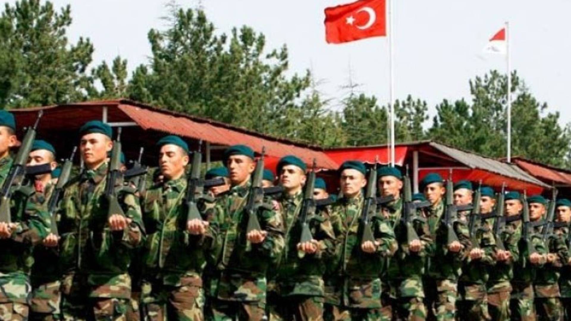 ارشيفية