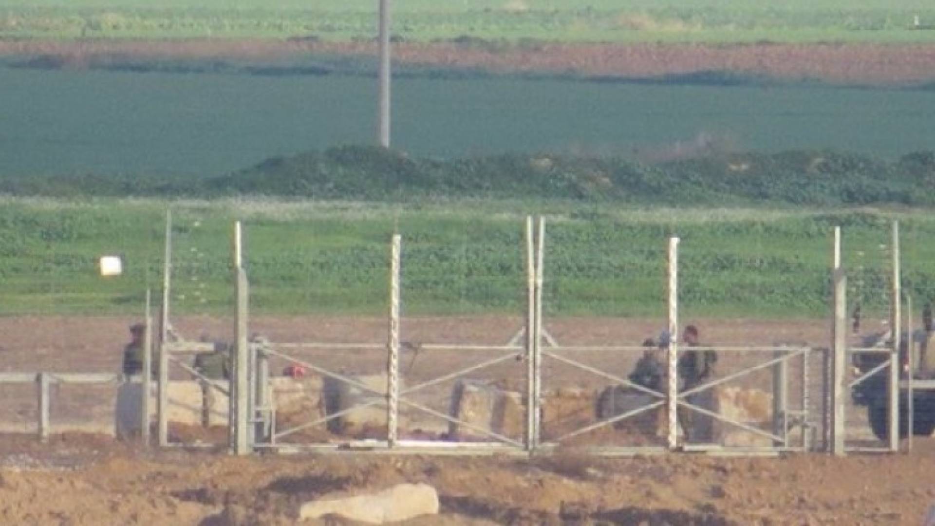 ارشيفية
