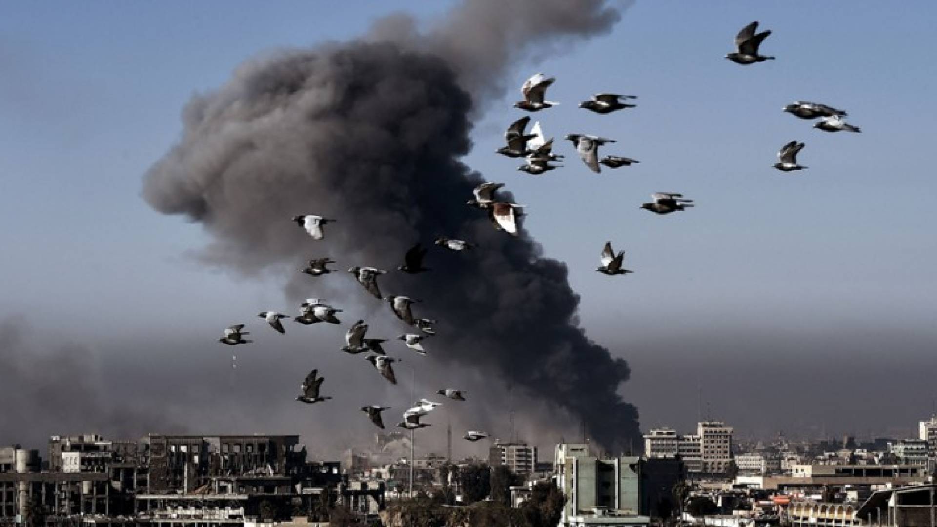 الصورة أرشيفية