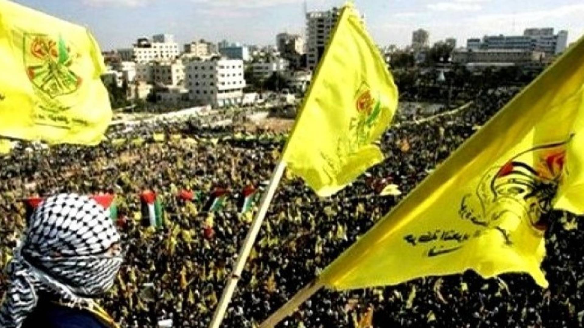 ارشيفية