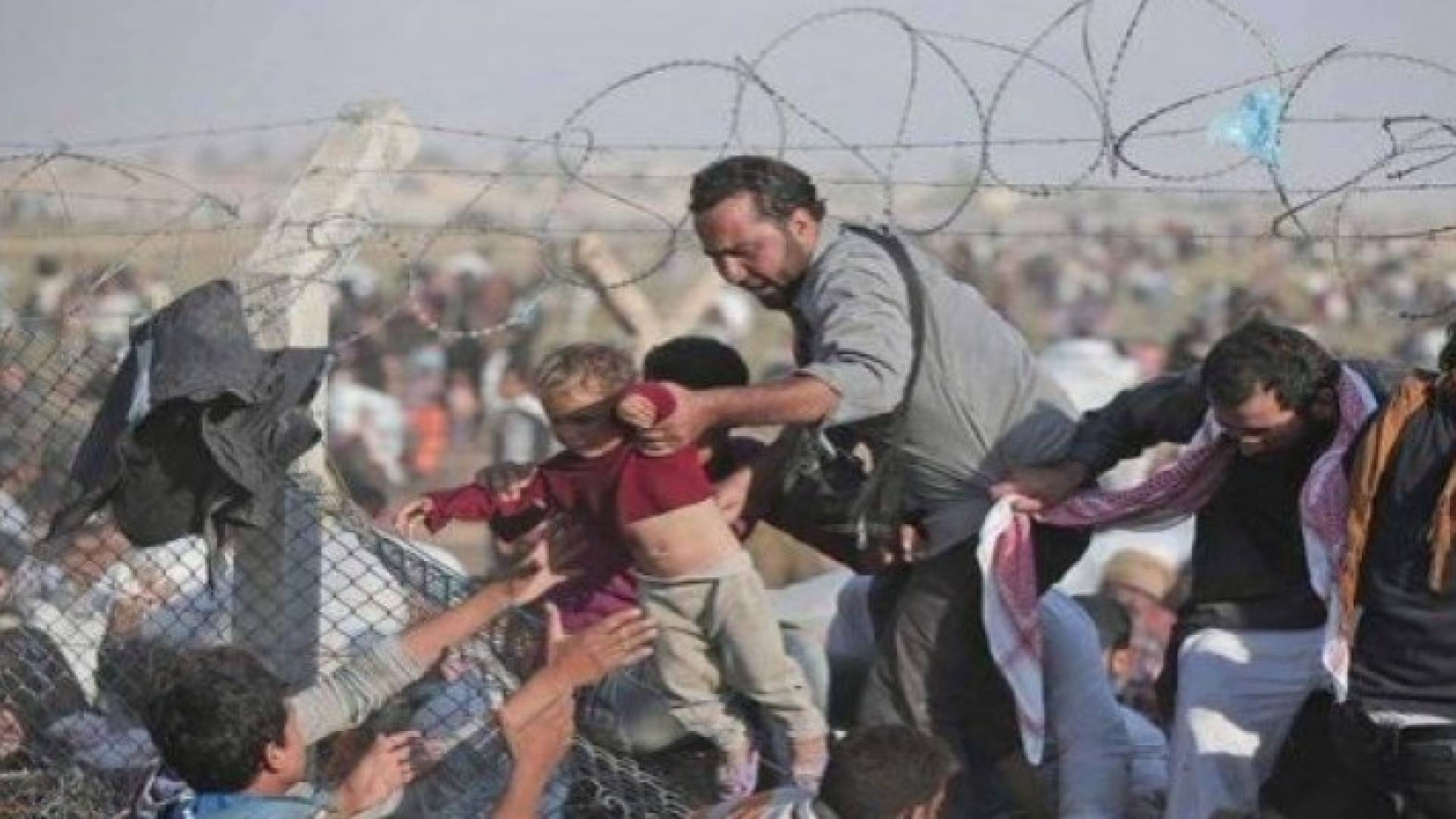 ازمة اللاجئين 