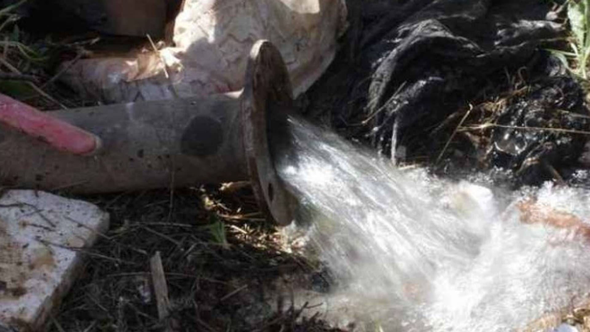 الصورة أرشيفية