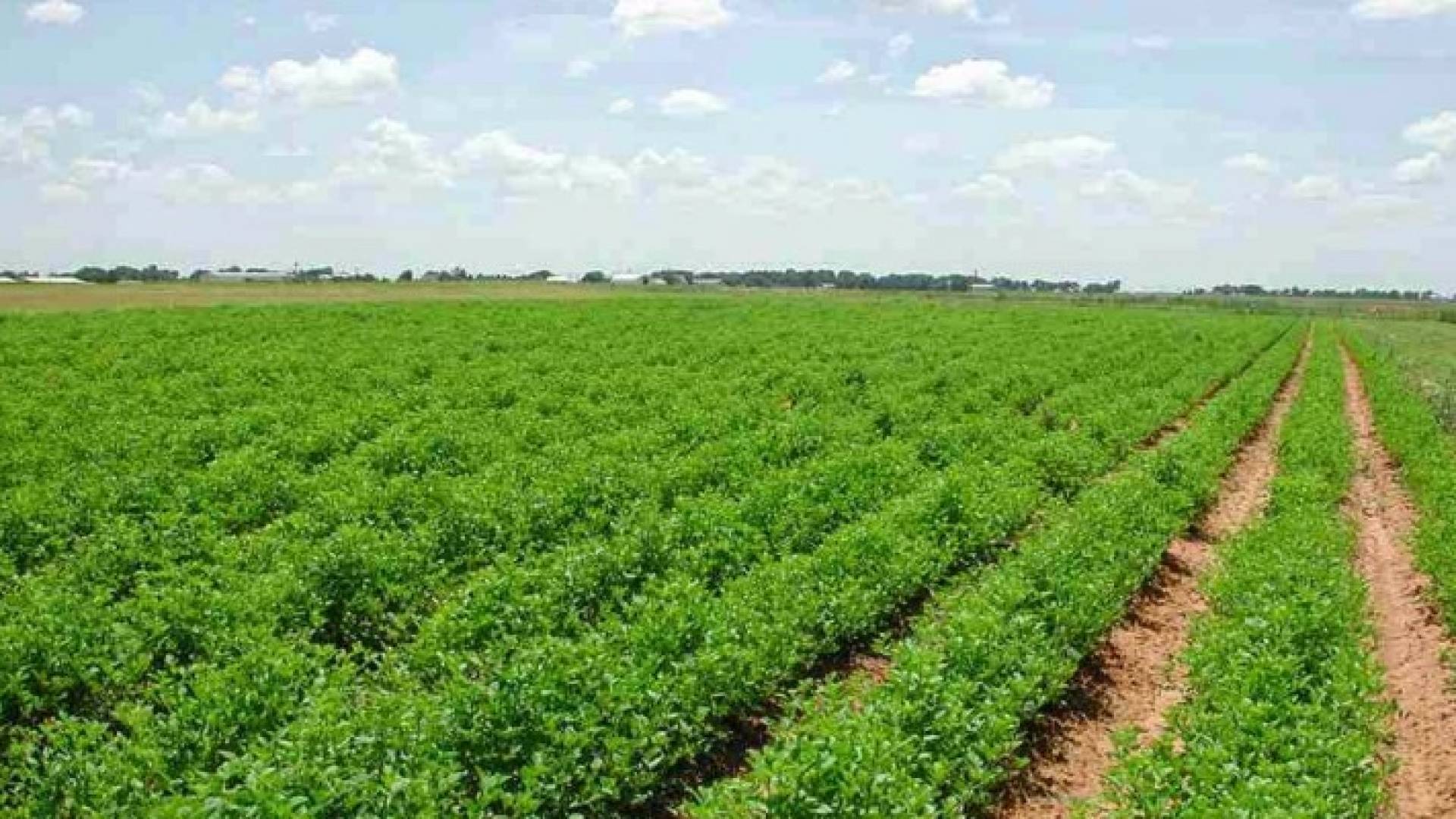 الصورة أرشيفية 