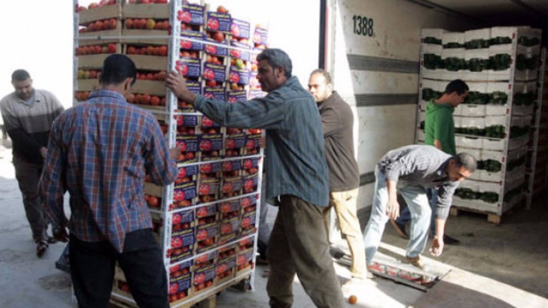 الصورة أرشيفية 