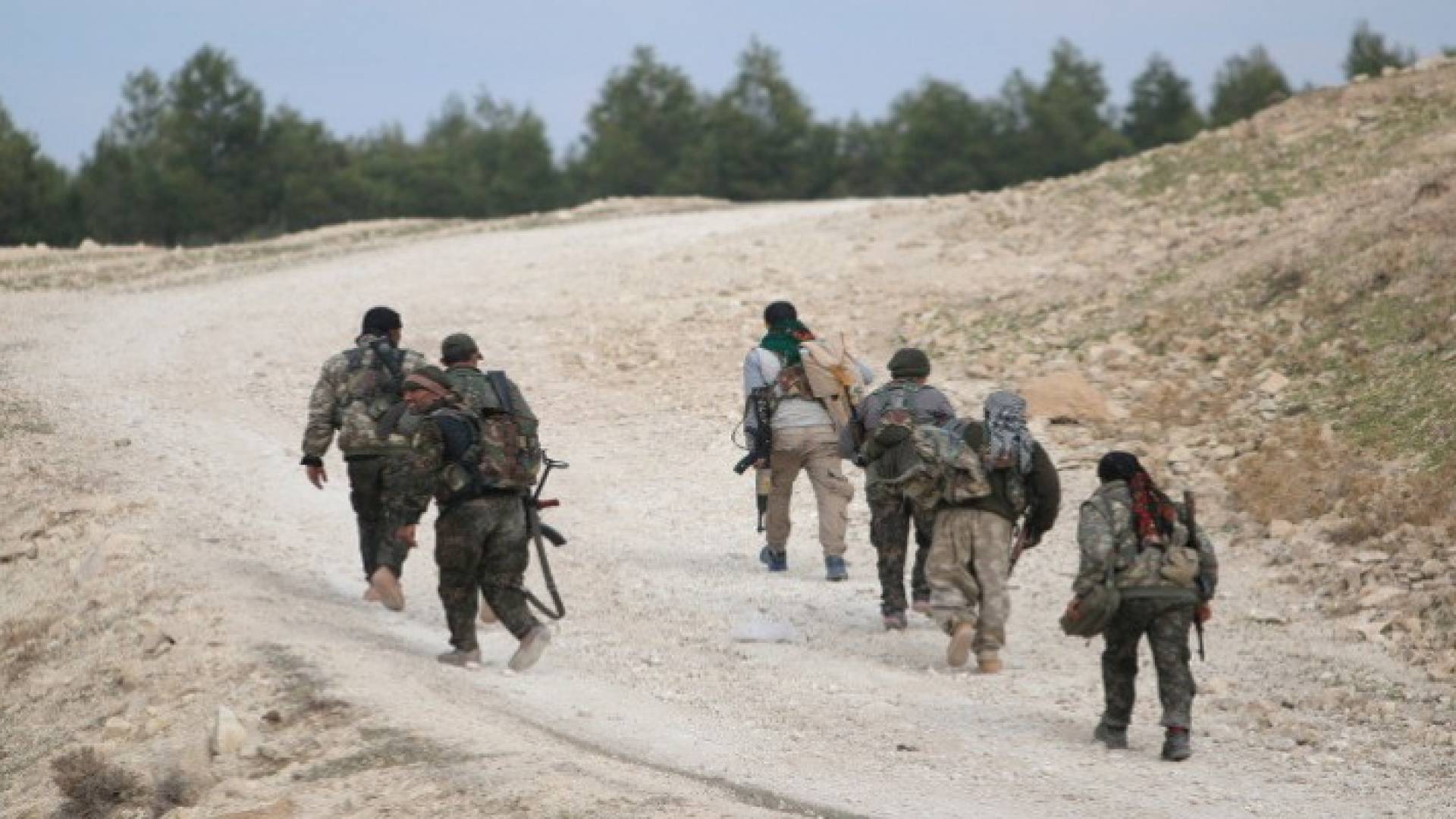 ارشيفية