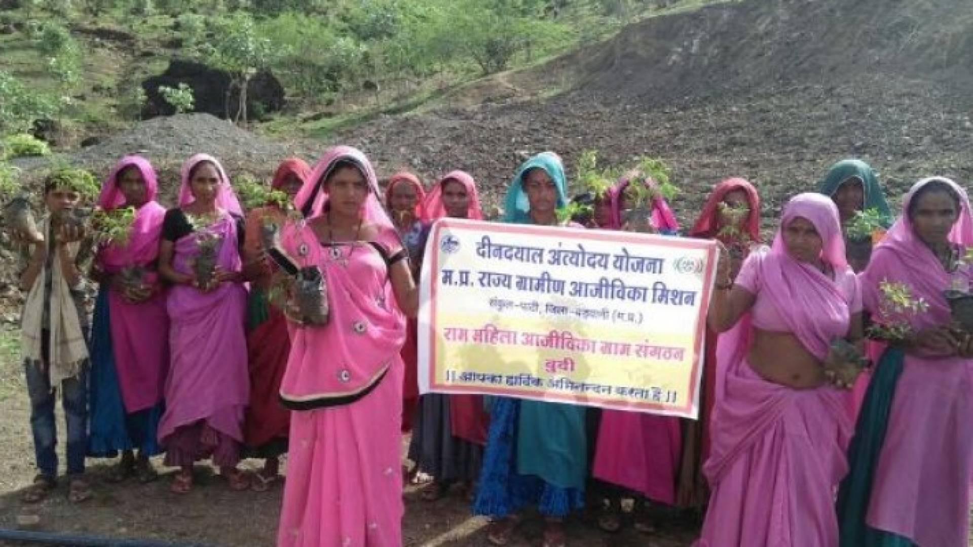 الهند تزرع 66 مليون شجرة في 12 ساعة فقط