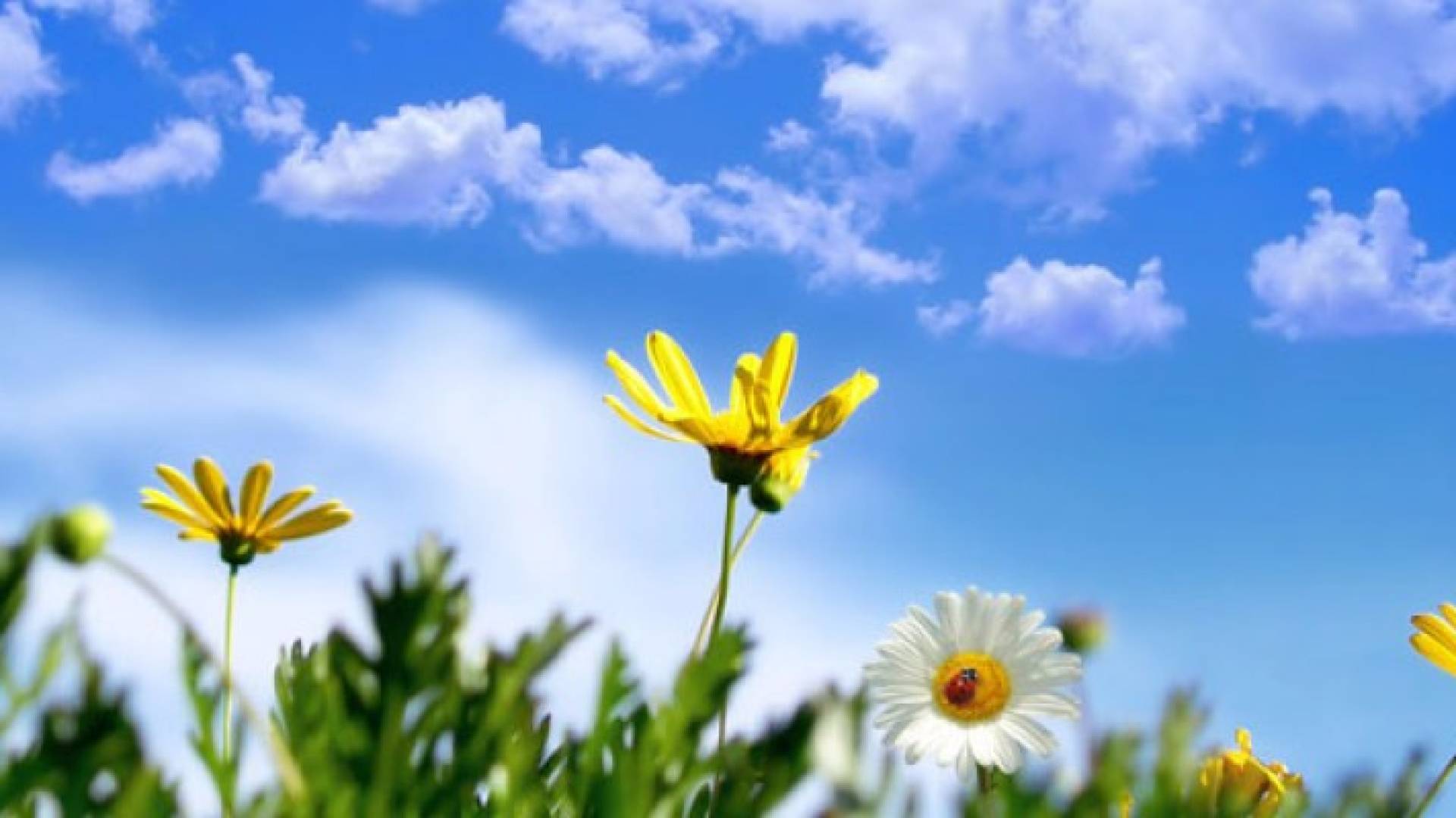 انخفاض واضح على الحرارة نهاية الأسبوع 