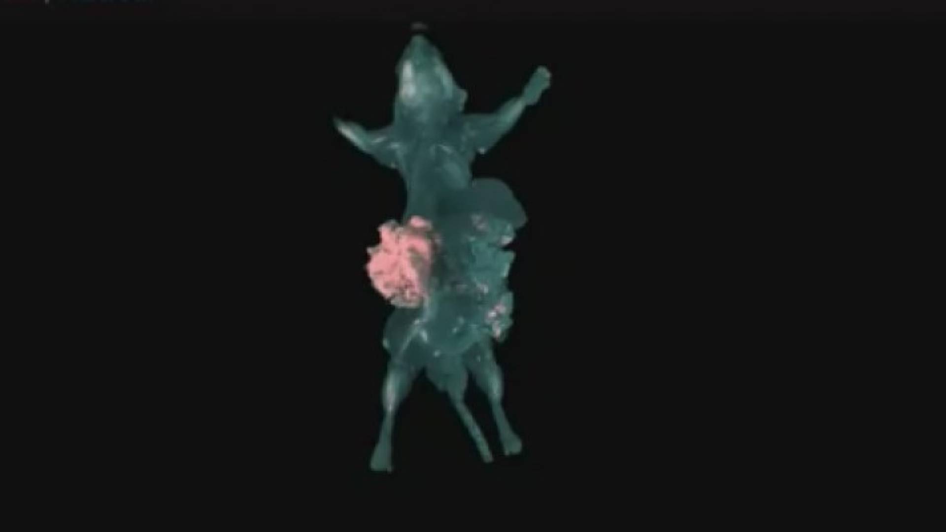 النسيج الطبيعي للجسم يظهر باللون الأخضر، بينما تظهر الخلايا السرطانية باللون الأحمر الغامق