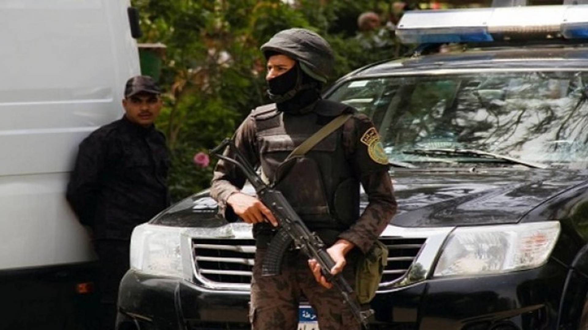 ارشيفية