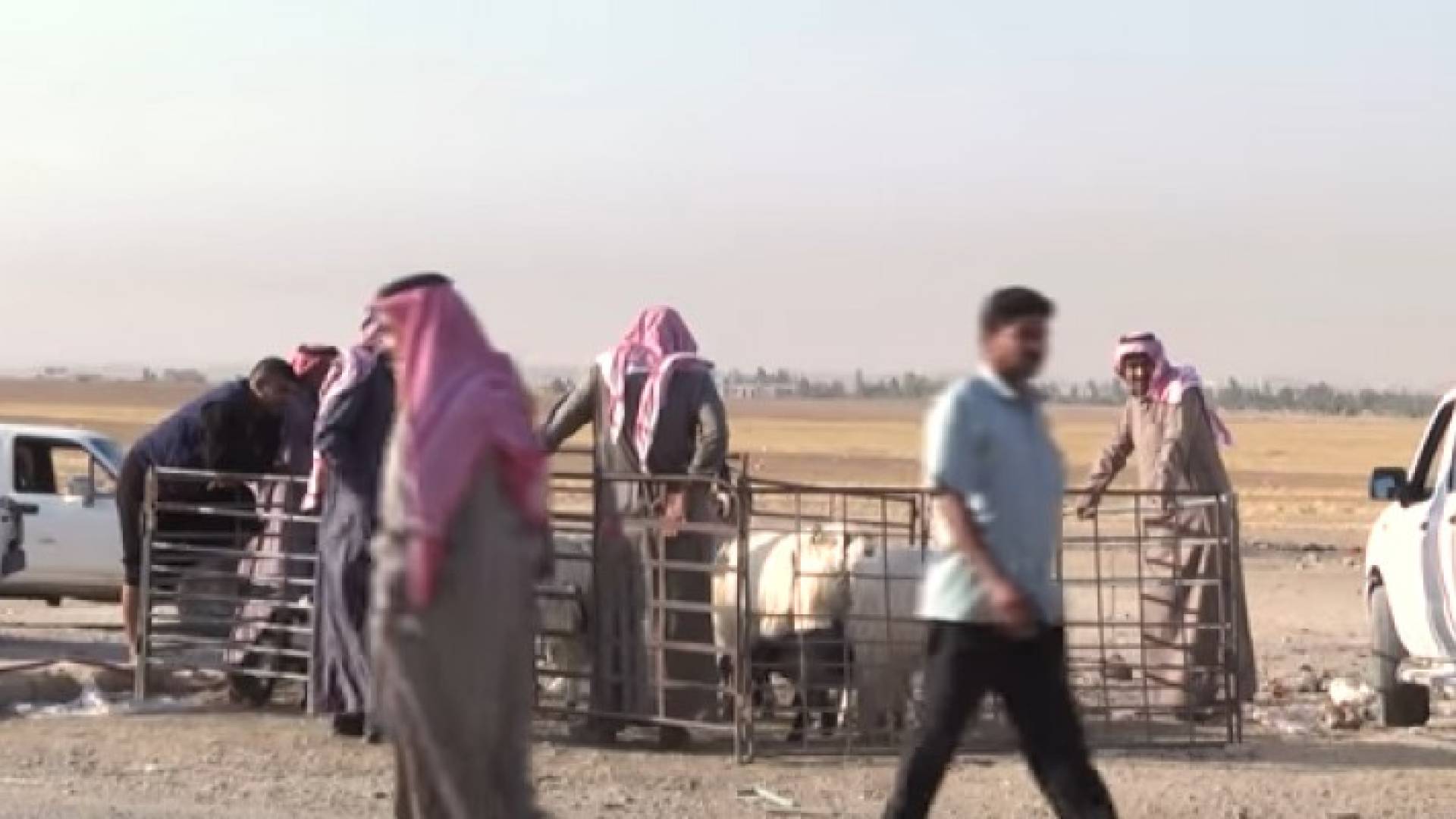 الصورة من الفيديو