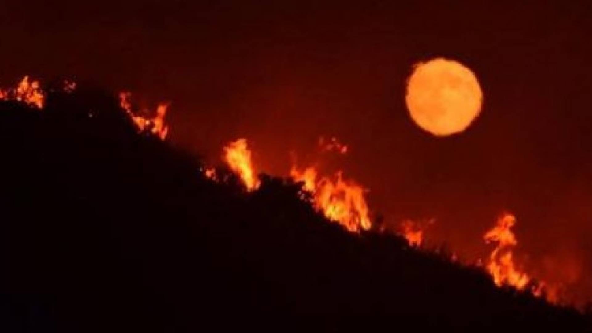 حريق غابات هائل في كاليفورنيا يجبر السكان على إخلاء منازلهم