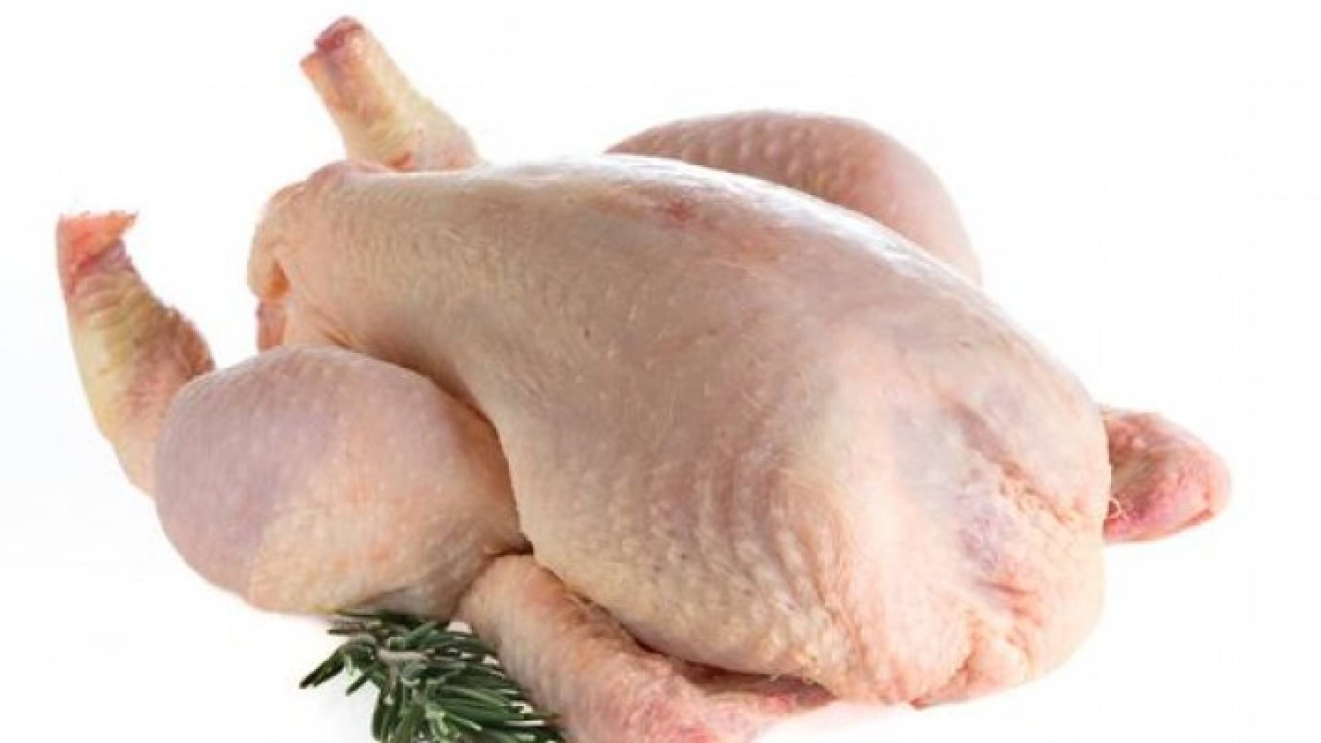 انخفاض أسعار الدجاج 6%