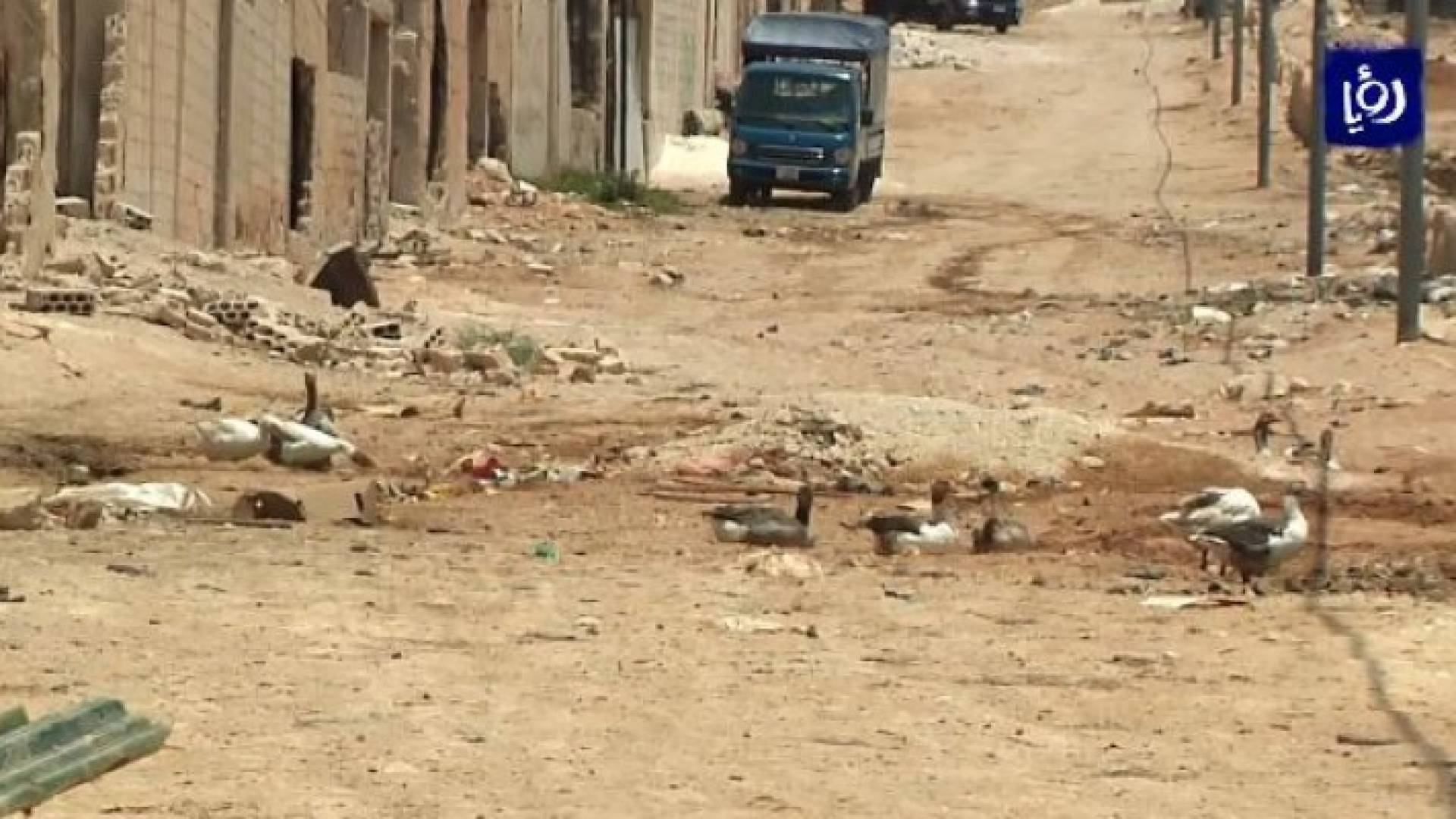 صورة من الفيديو 