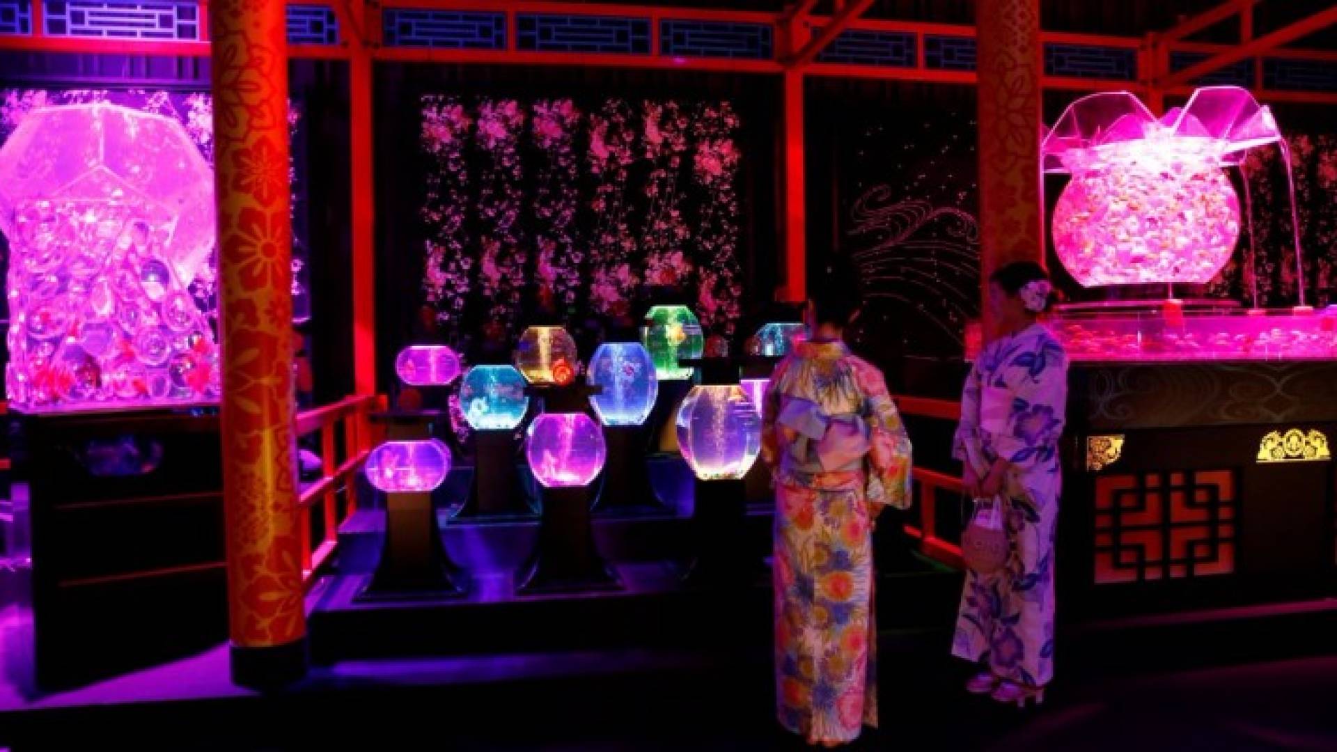 أحواض أسماك مزينة بالأضواء الساطعة