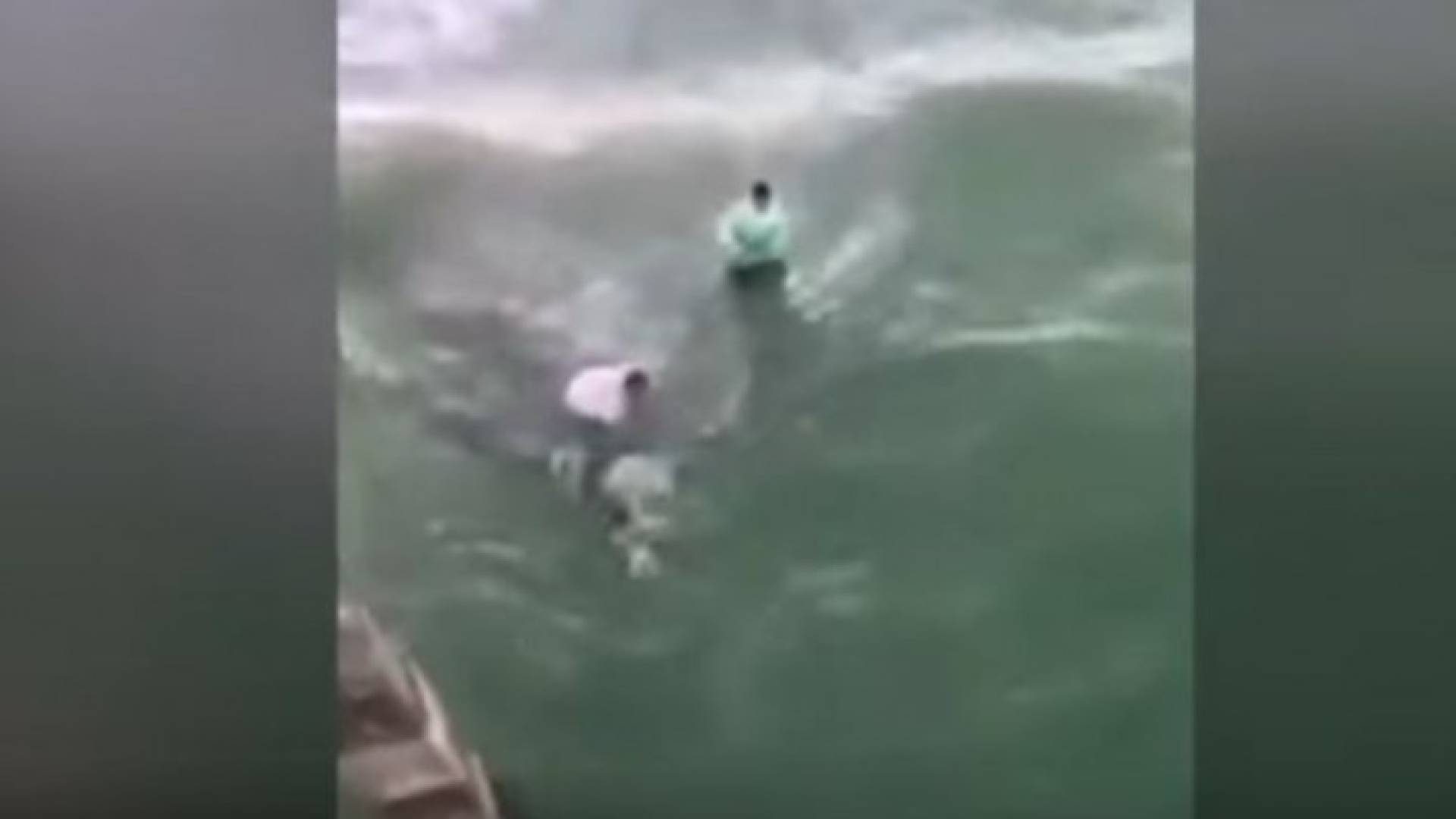 الصورة من الفيديو