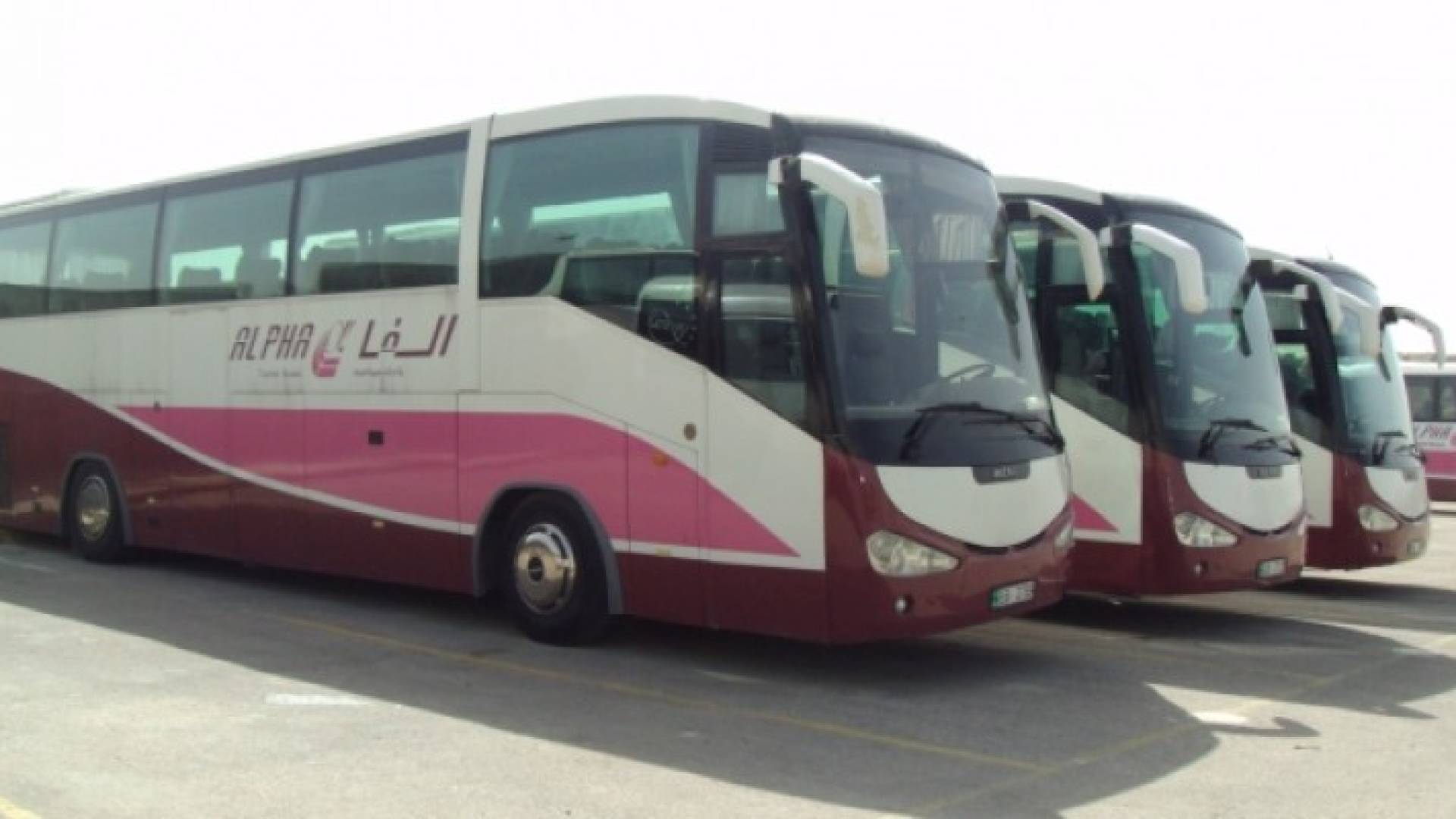 ارشيفية