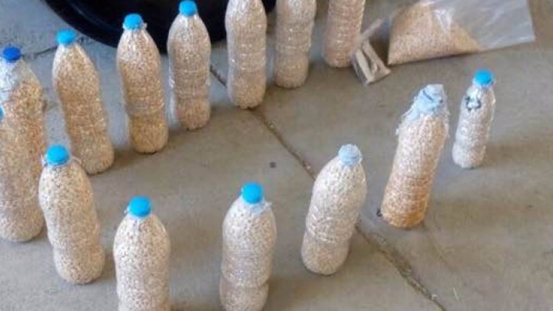 احباط تهريب 624 الف حبة مخدرة والقاء القبض على عدد من المتورطين 