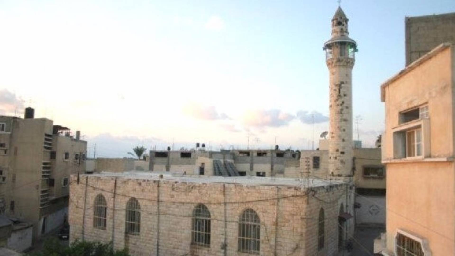 ارشيفية