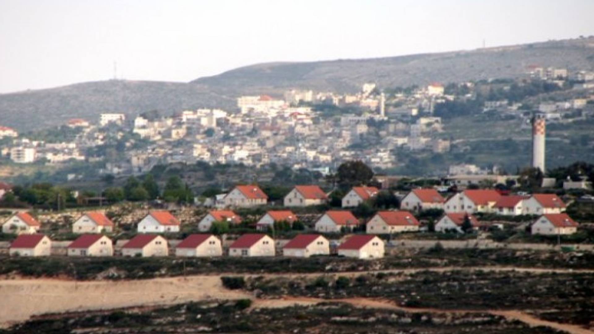 ارشيفية