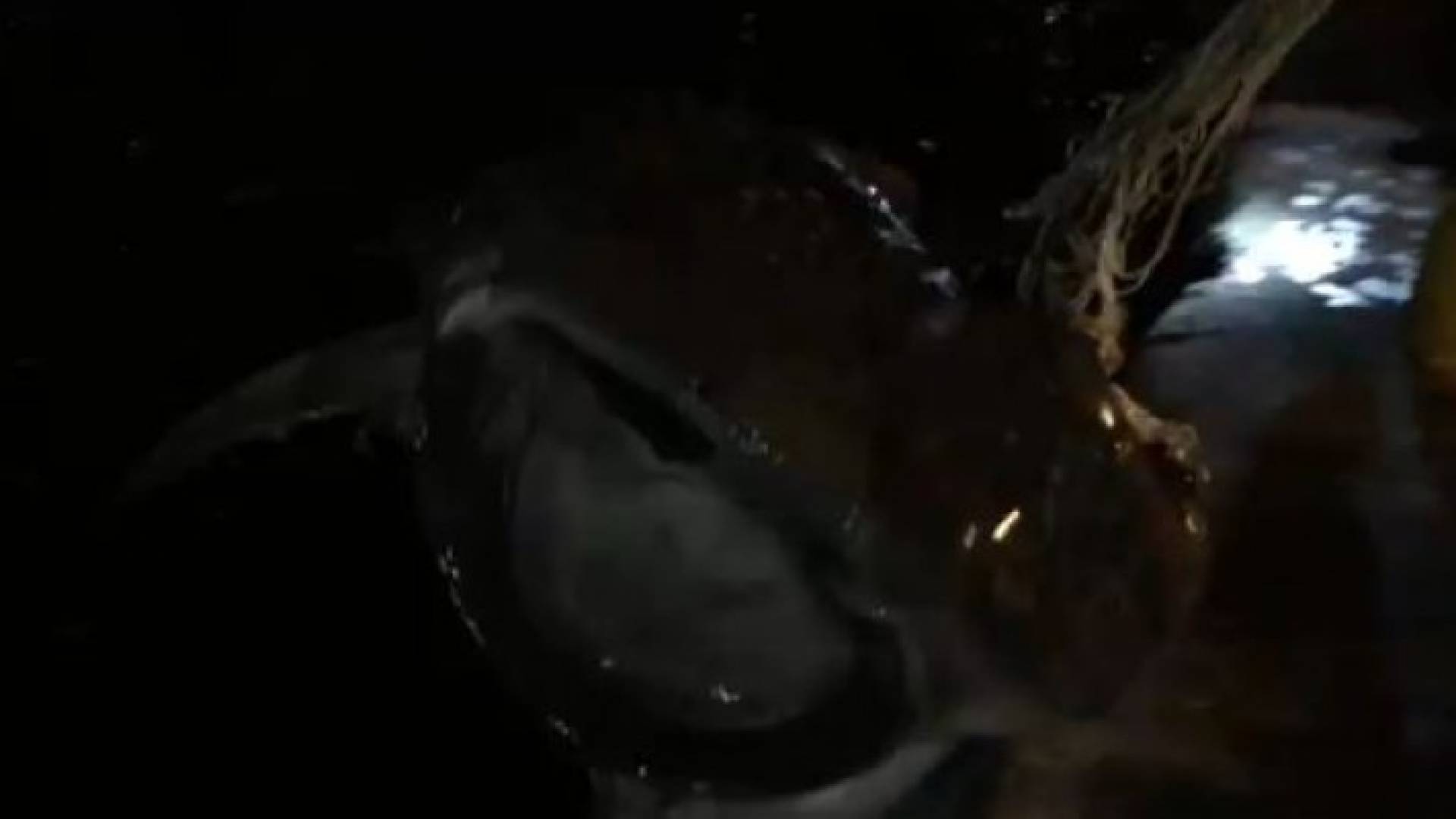 الصورة من الفيديو