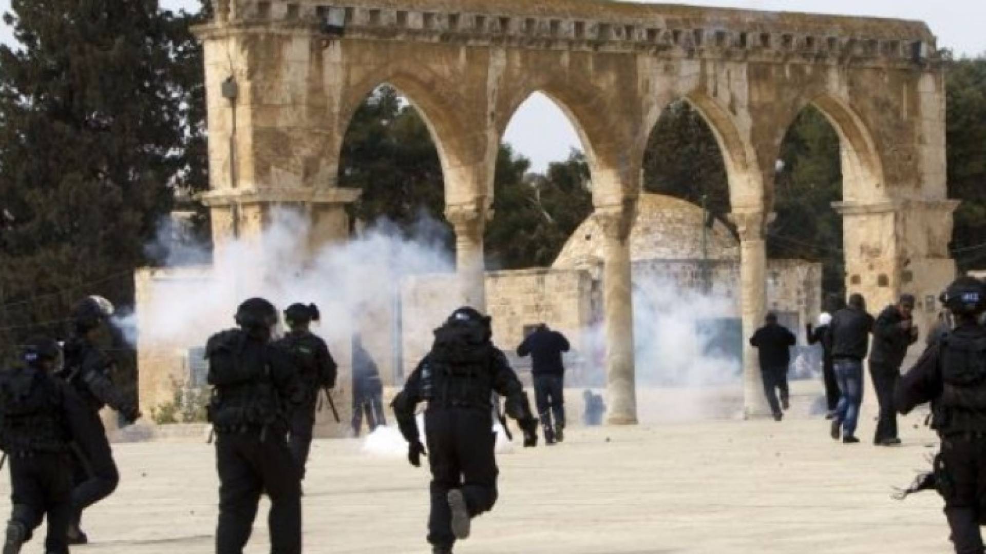 ارشيفية