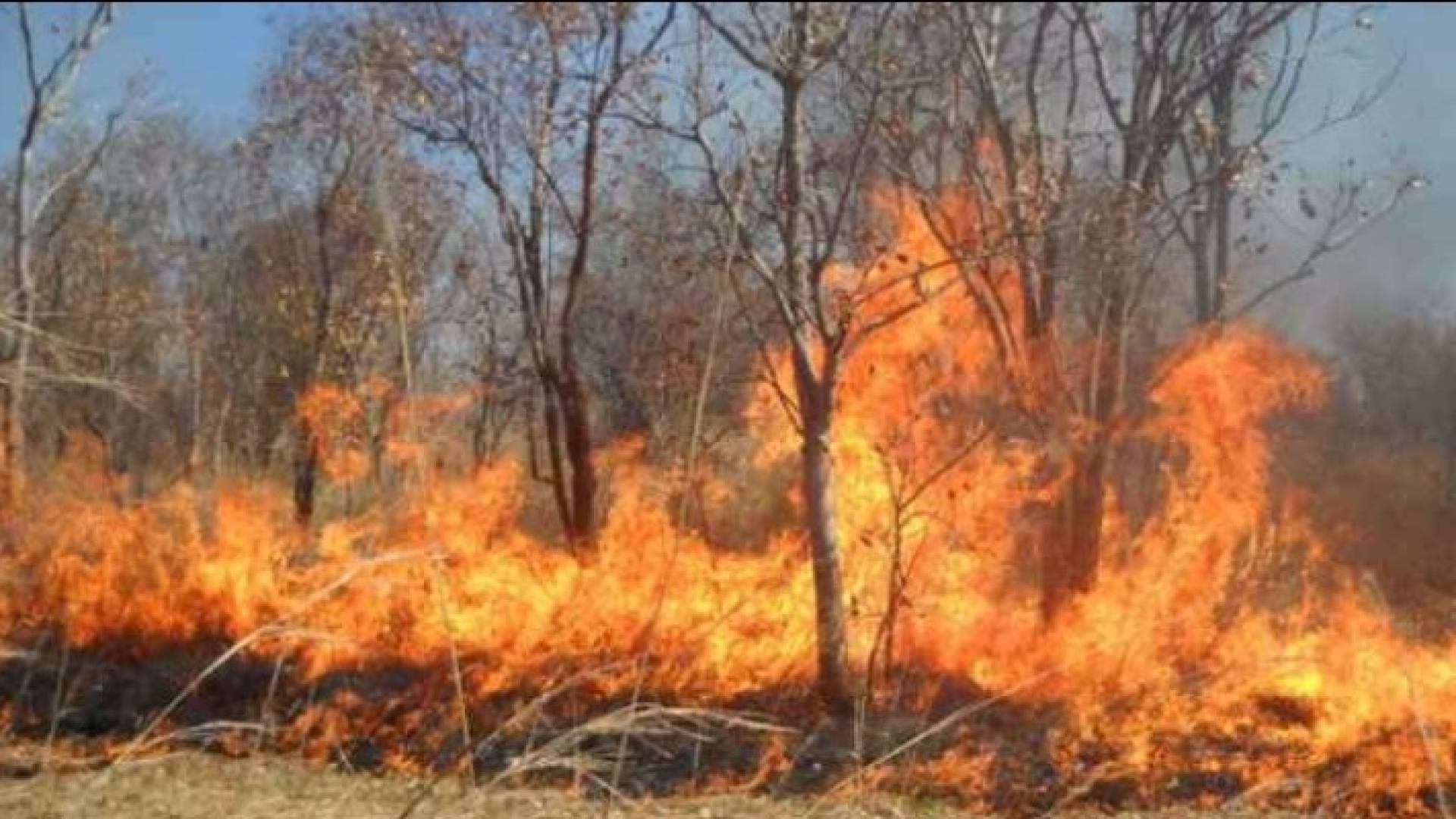 الصورة ارشيفية