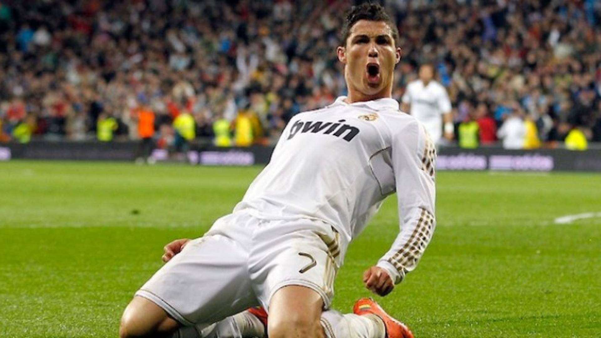 ارشيفية