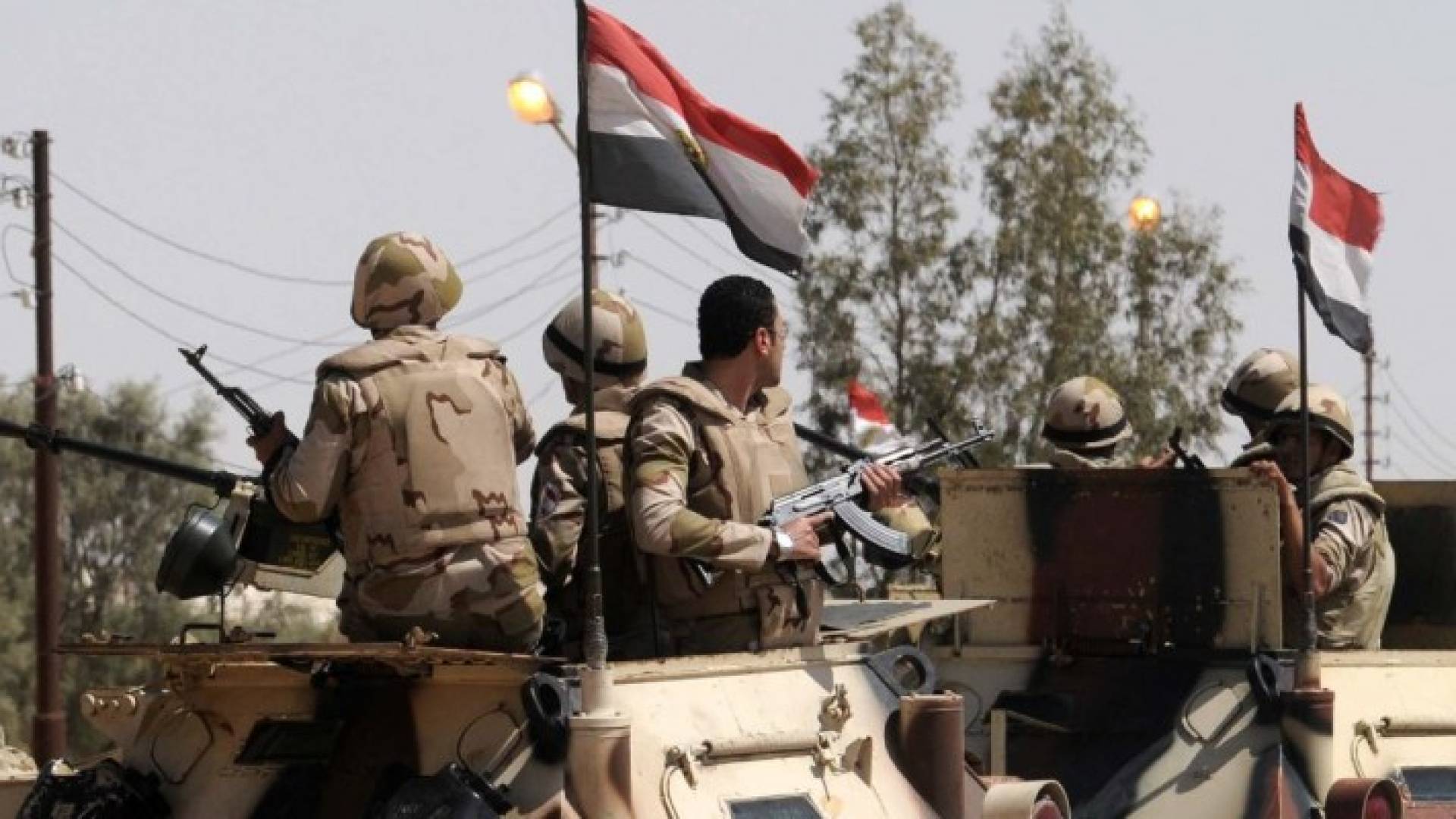 ارشيفية