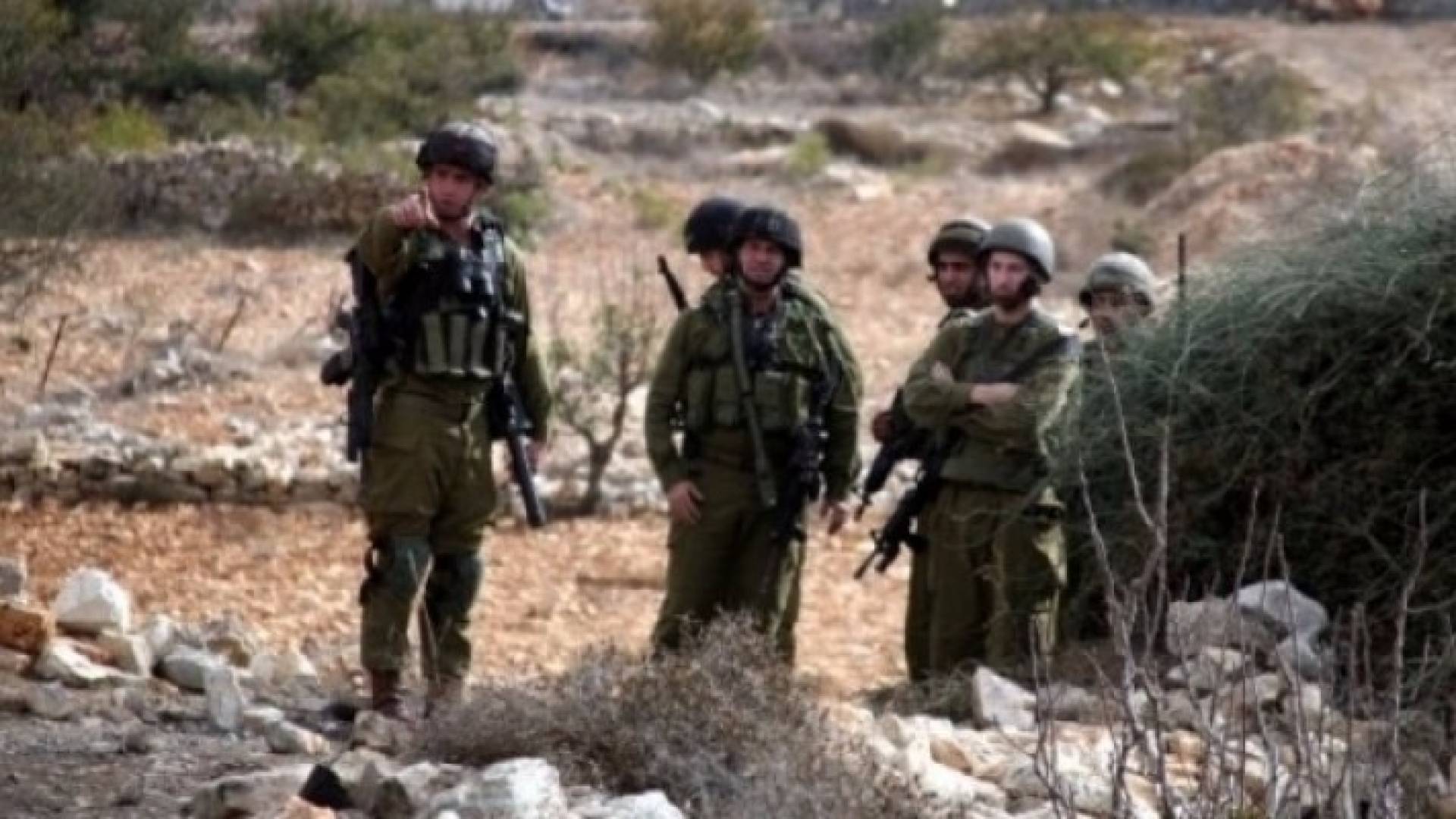 ارشيفية