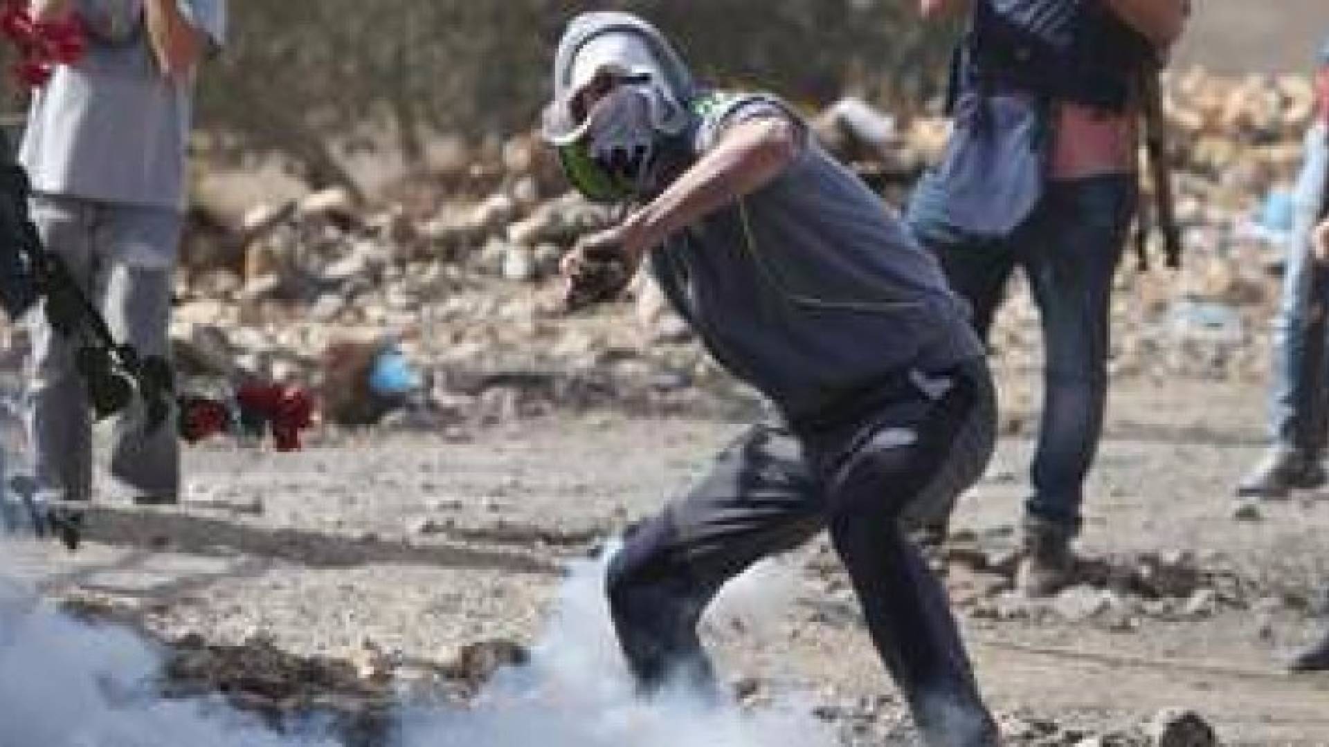 ارشيفية