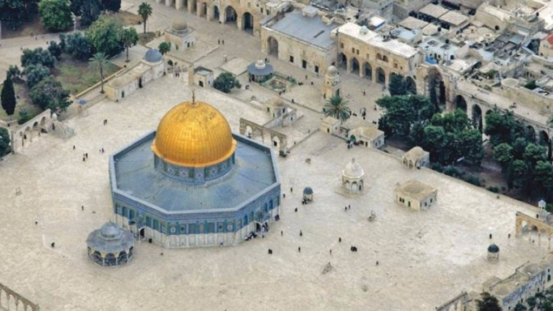 أرشيفية
