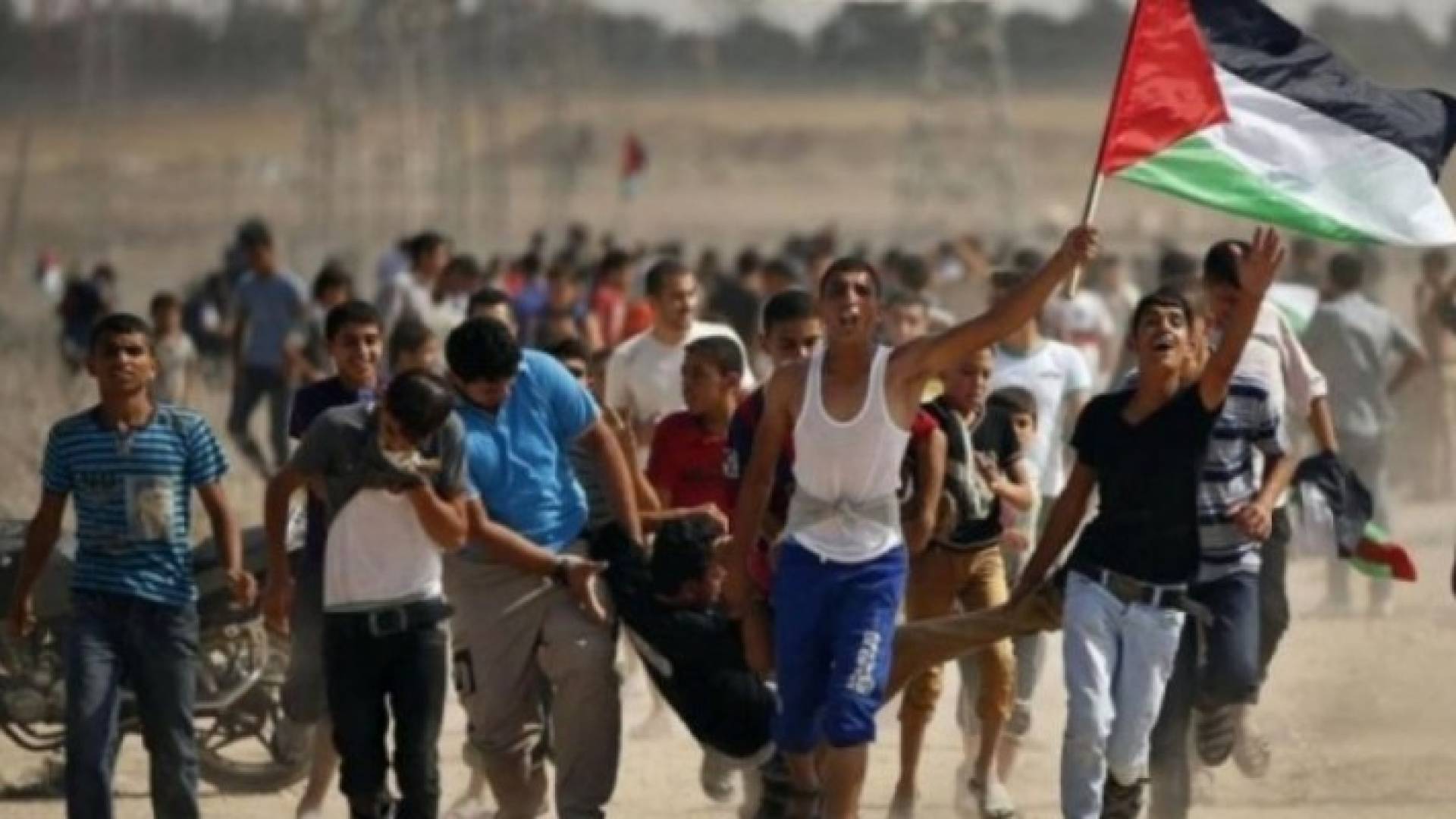 ارشيفية