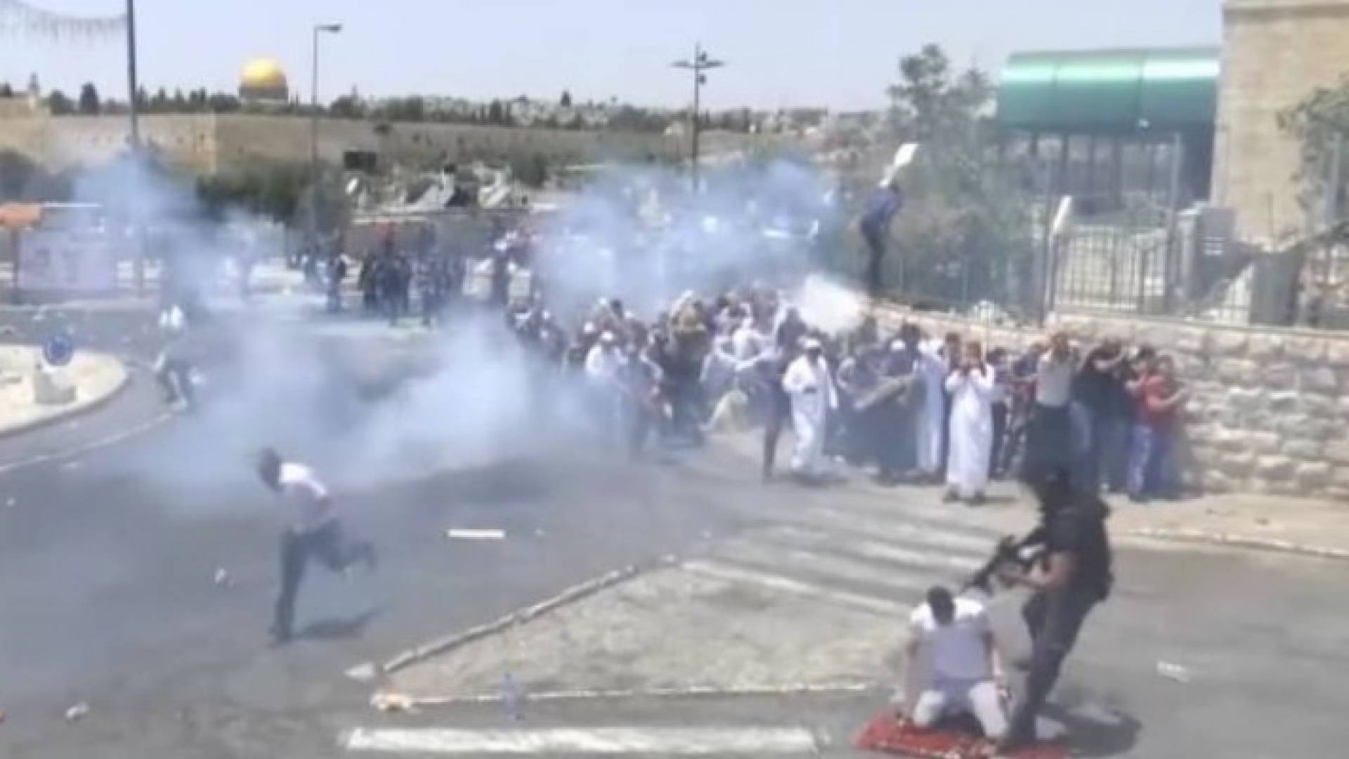 صورة من الفيديو  