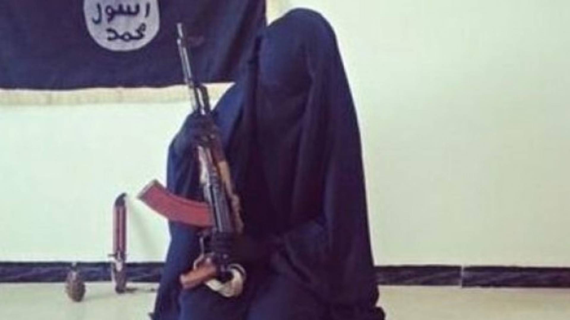 ارشيفية