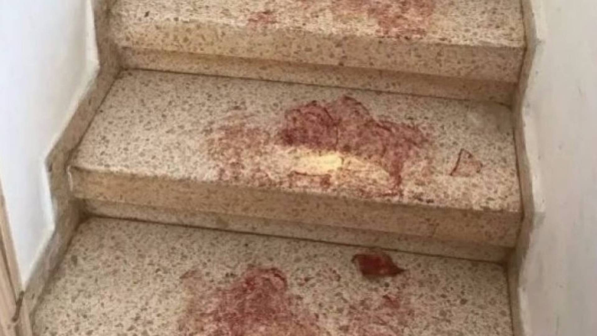 تفاصيل مثيرة عن عملية "حلميش"