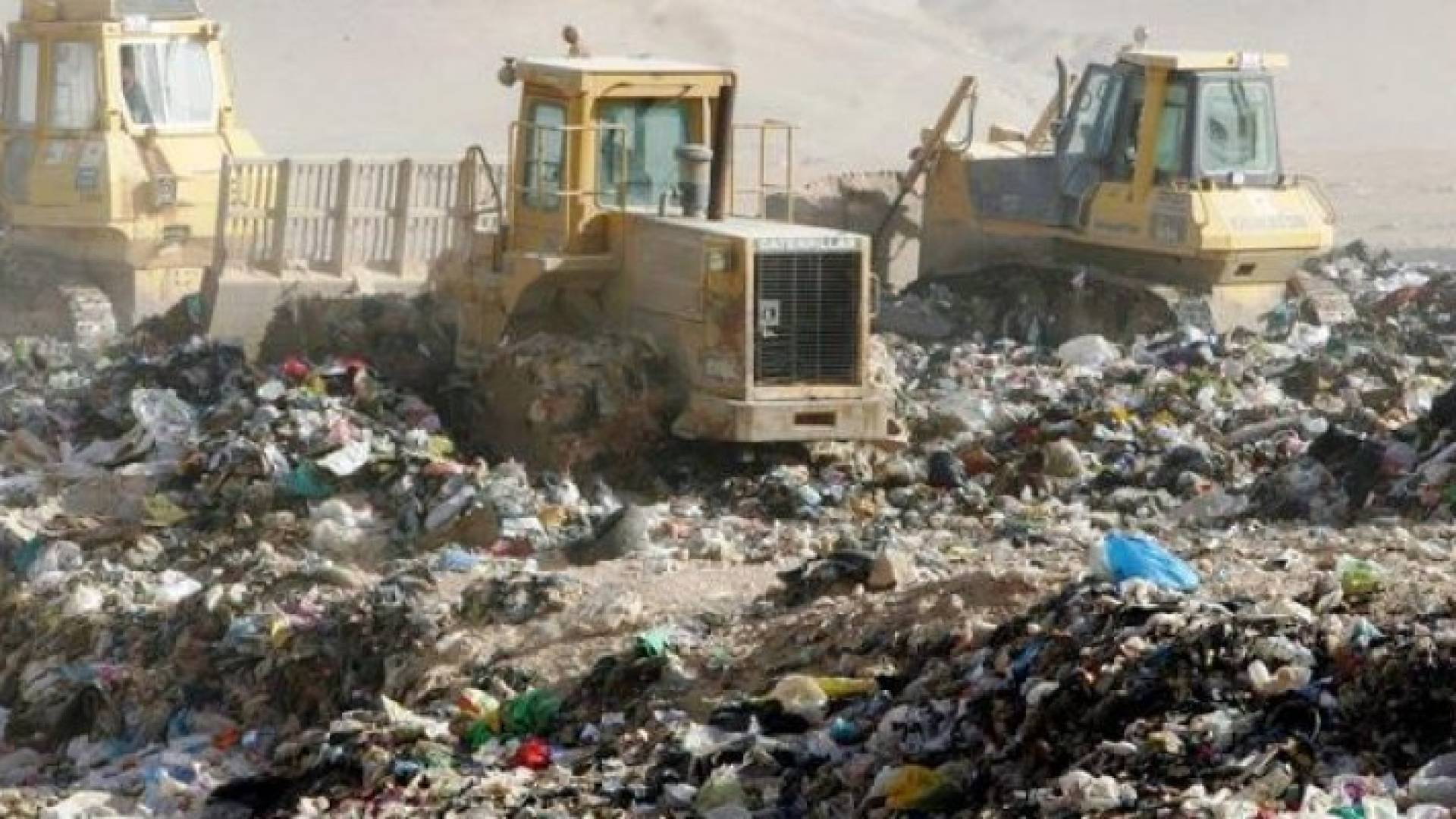 ارشيفية