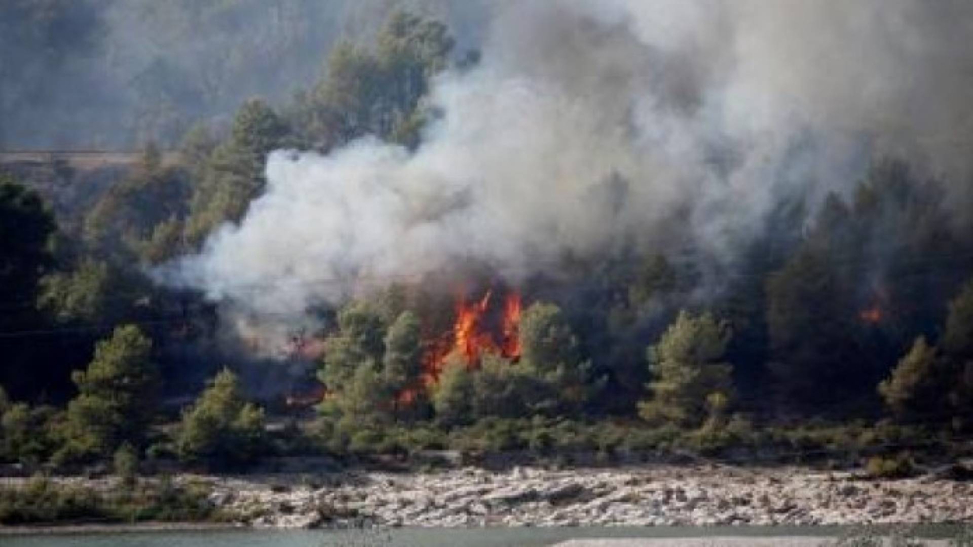 الحرائق تدمر 1400 هكتار من الغابات جنوب فرنسا