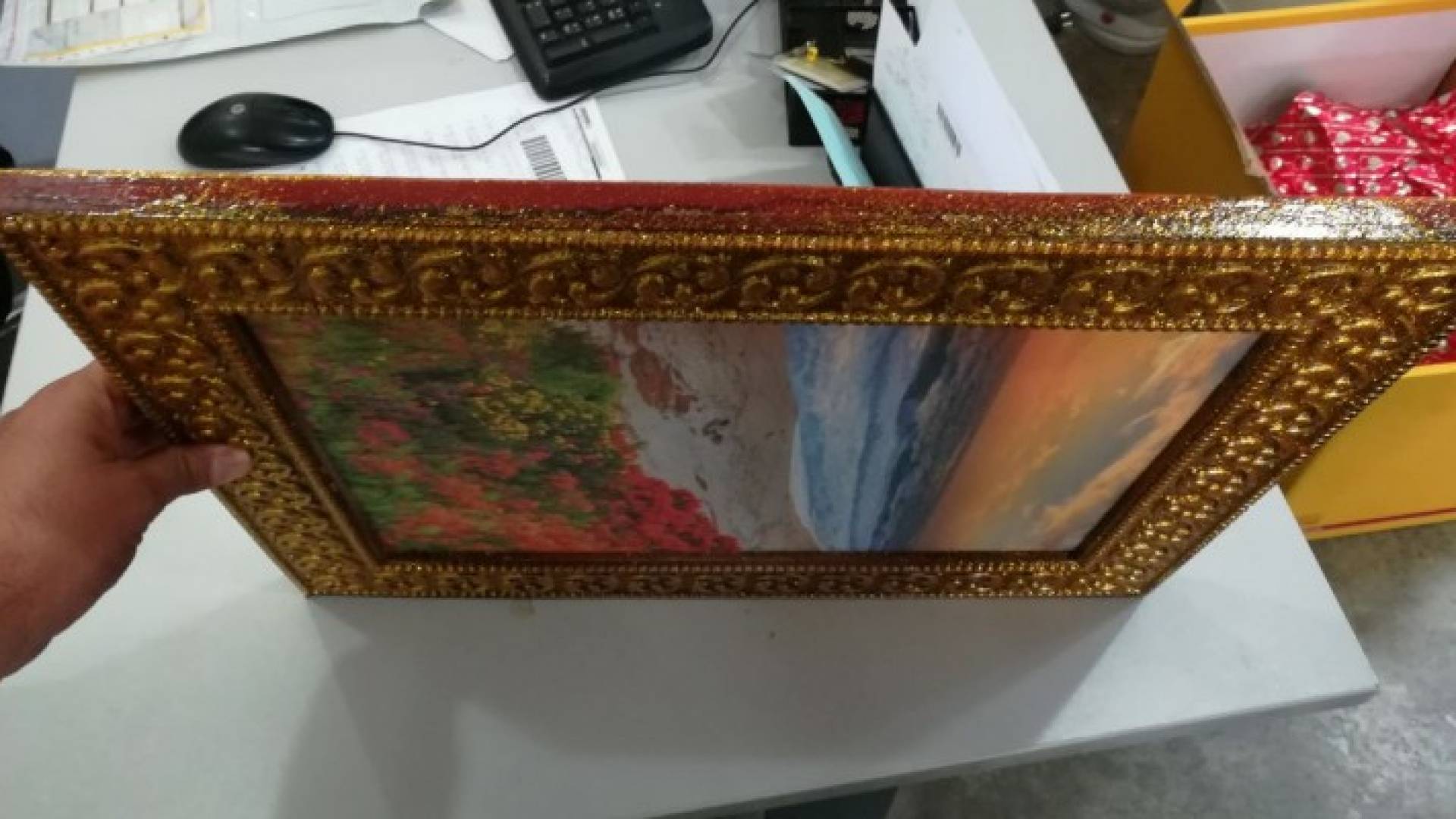 جانب من المضبوطات