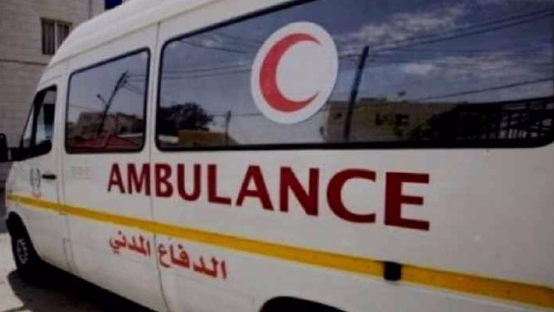 ارشيفية