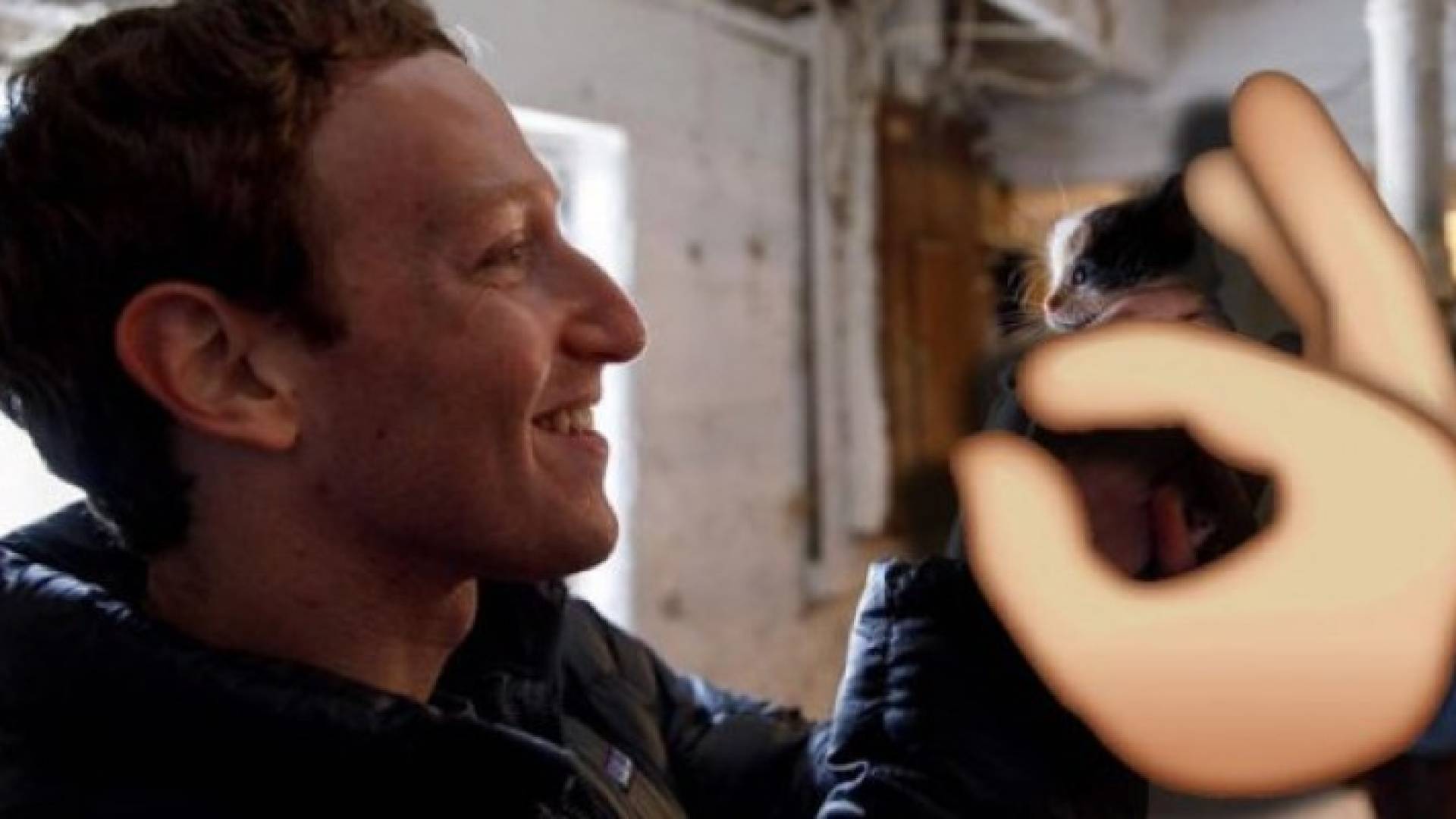 فيس بوك تتيح تكبير الصور بفرد الأصبعين