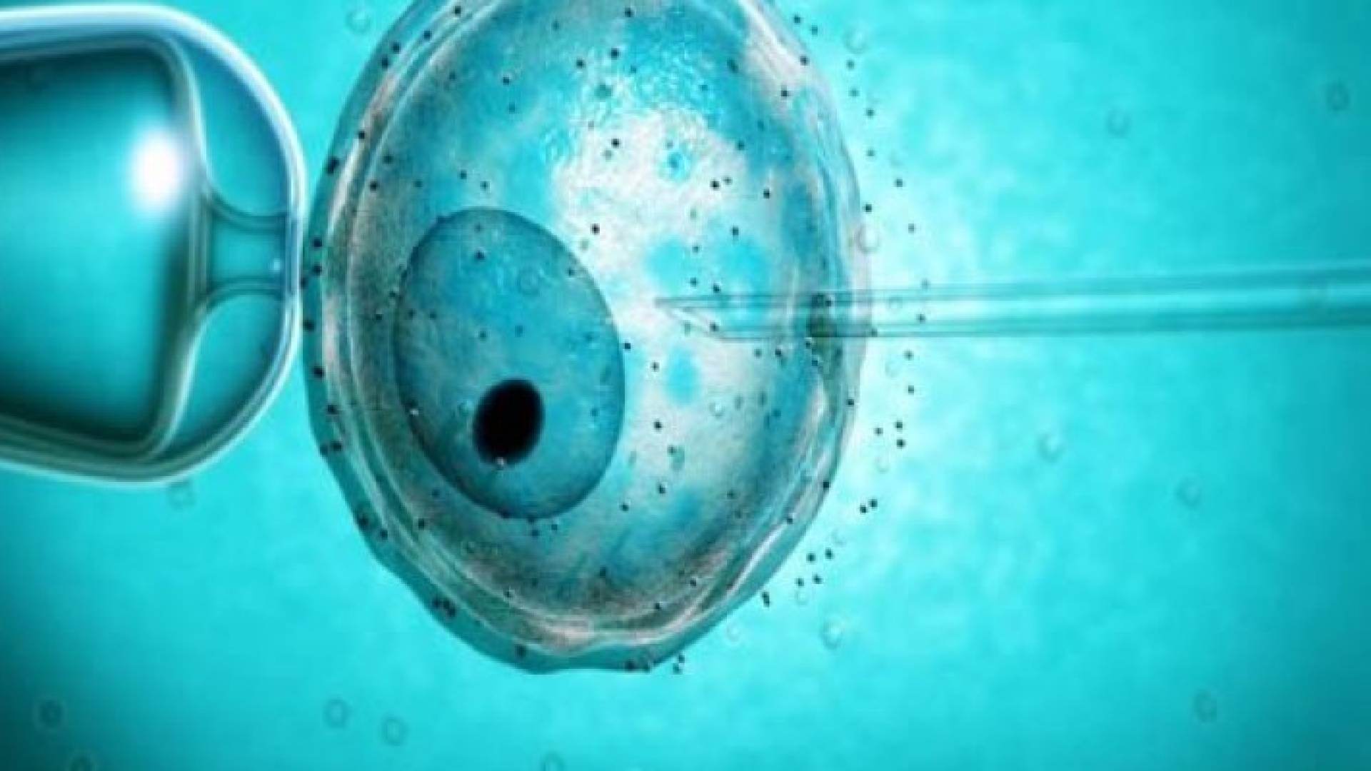 تعديل الحمض النووي لأجنة بشرية للقضاء على الأمراض