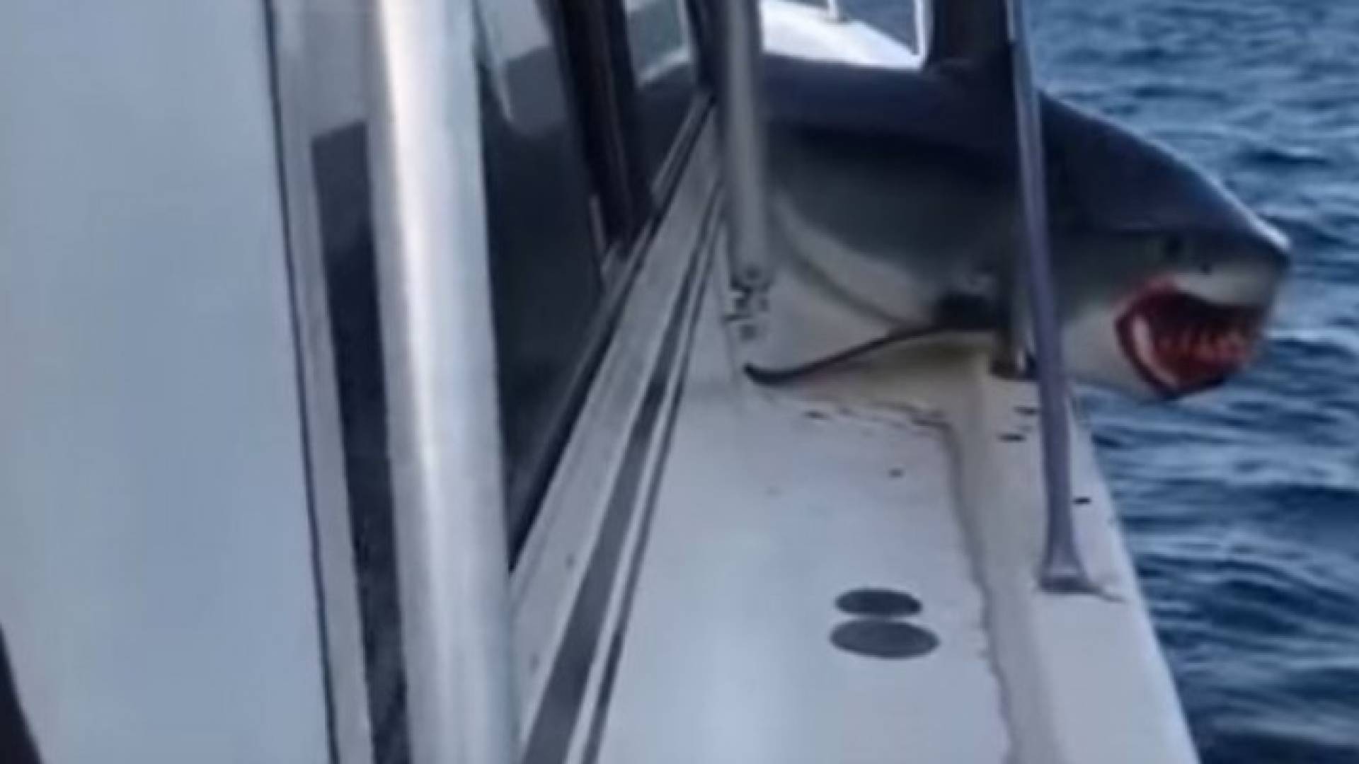 الصورة من الفيديو