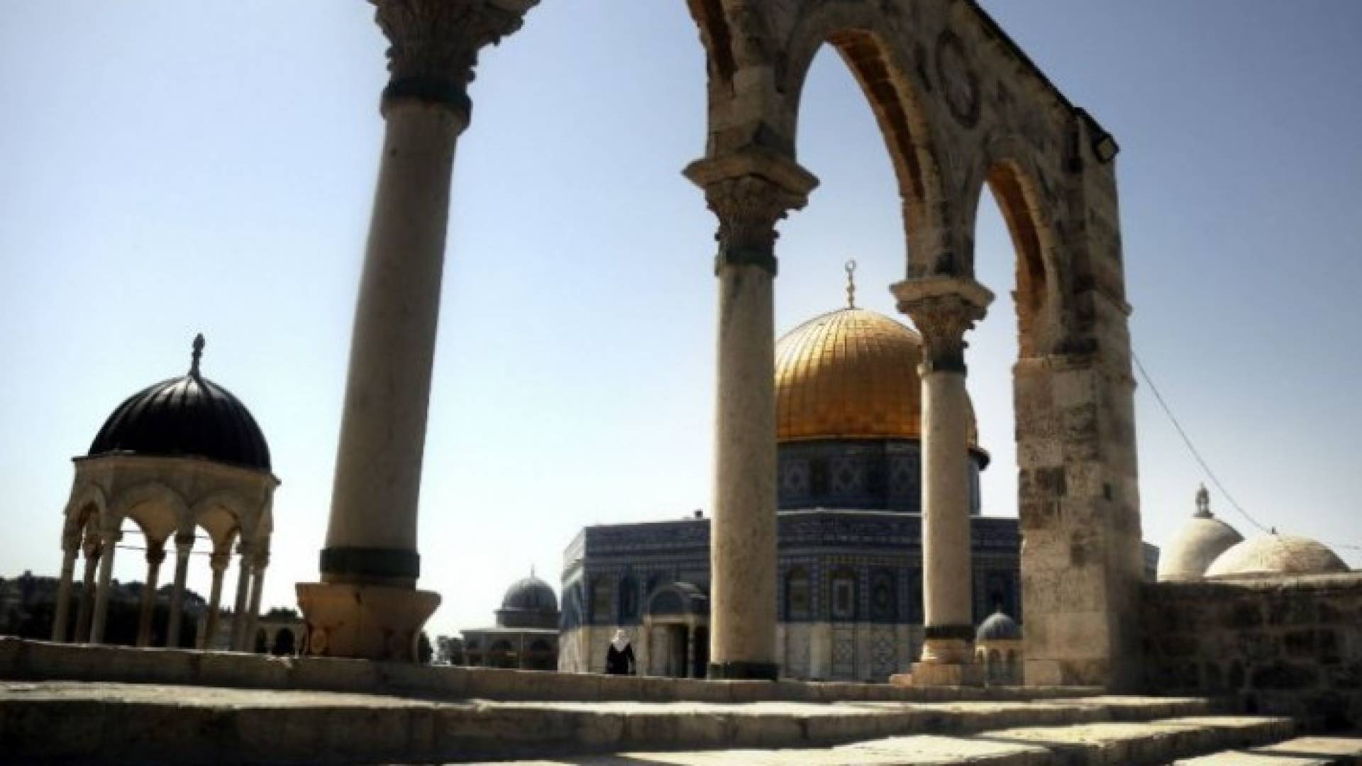 ارشيفية