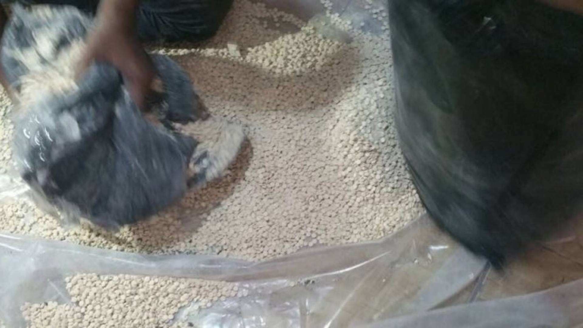 المخدرات كانت ستهرب إلى خارج المملكة
