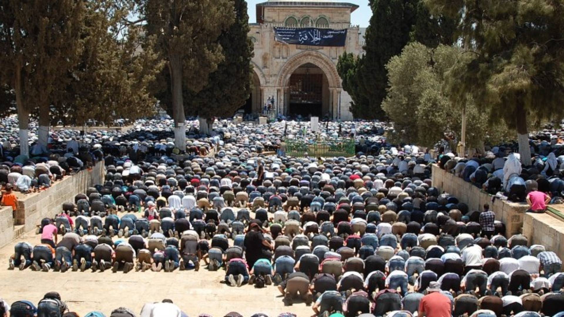الصورة ارشيفية 